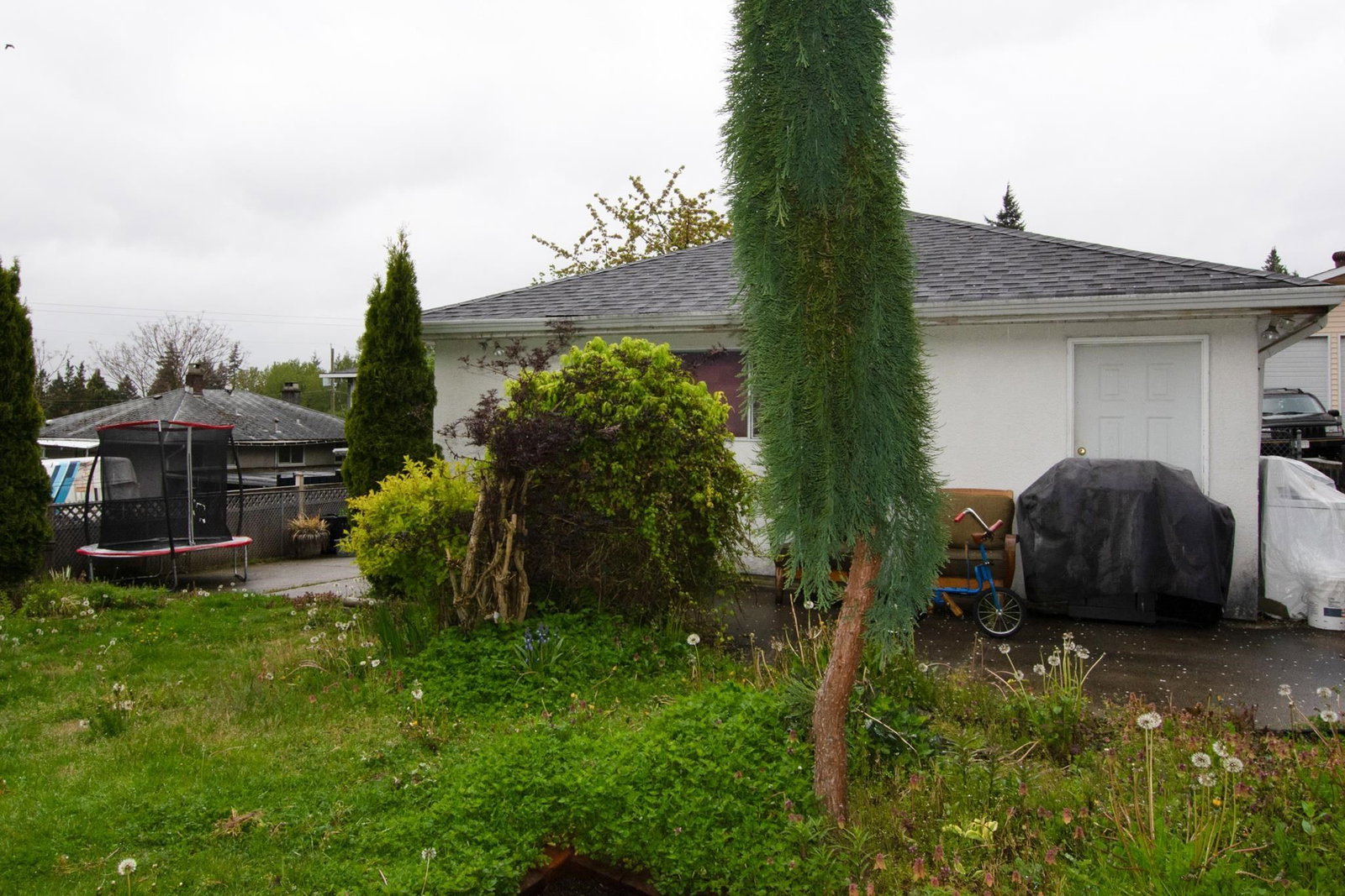 Listing Image 20
