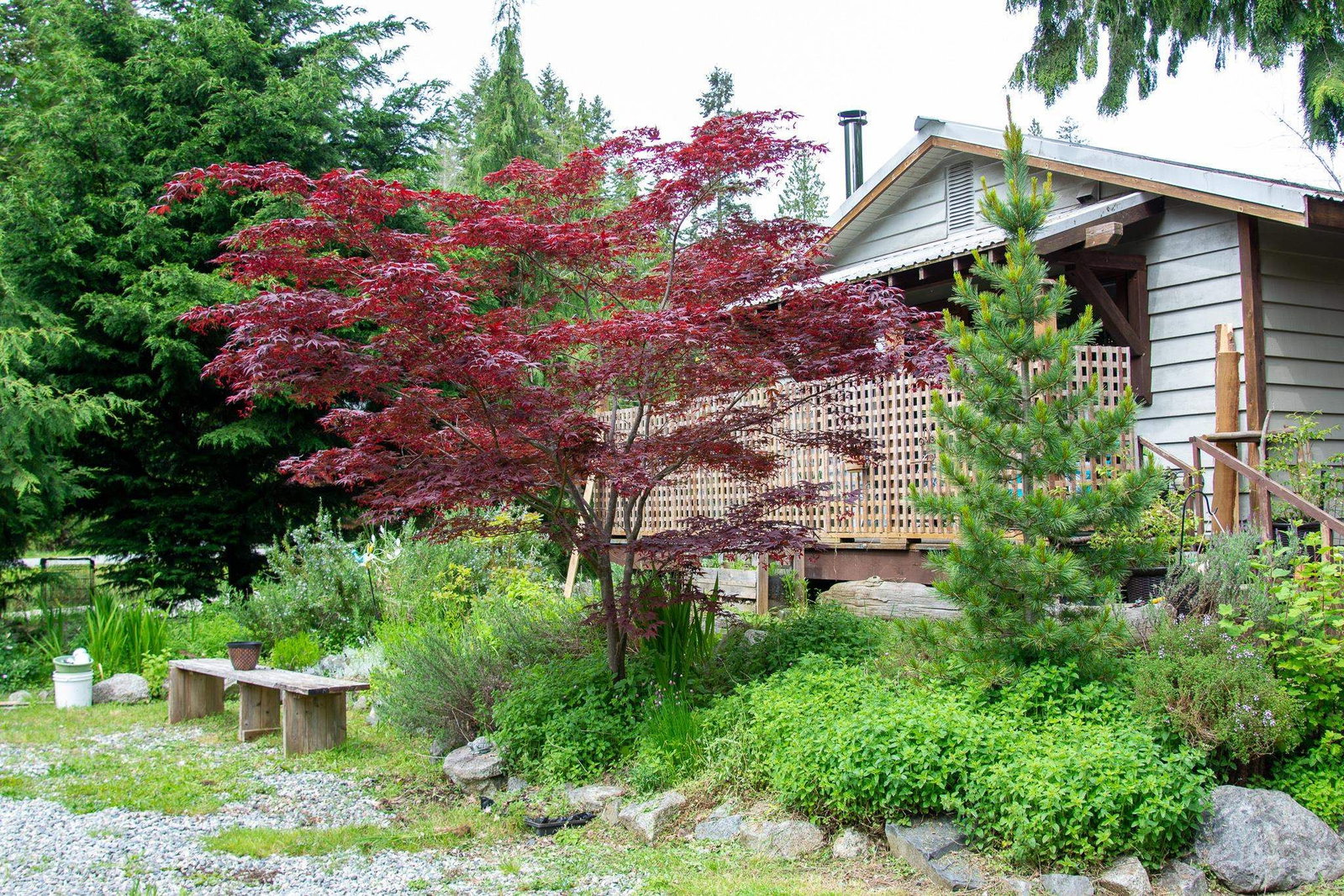 Listing Image 2