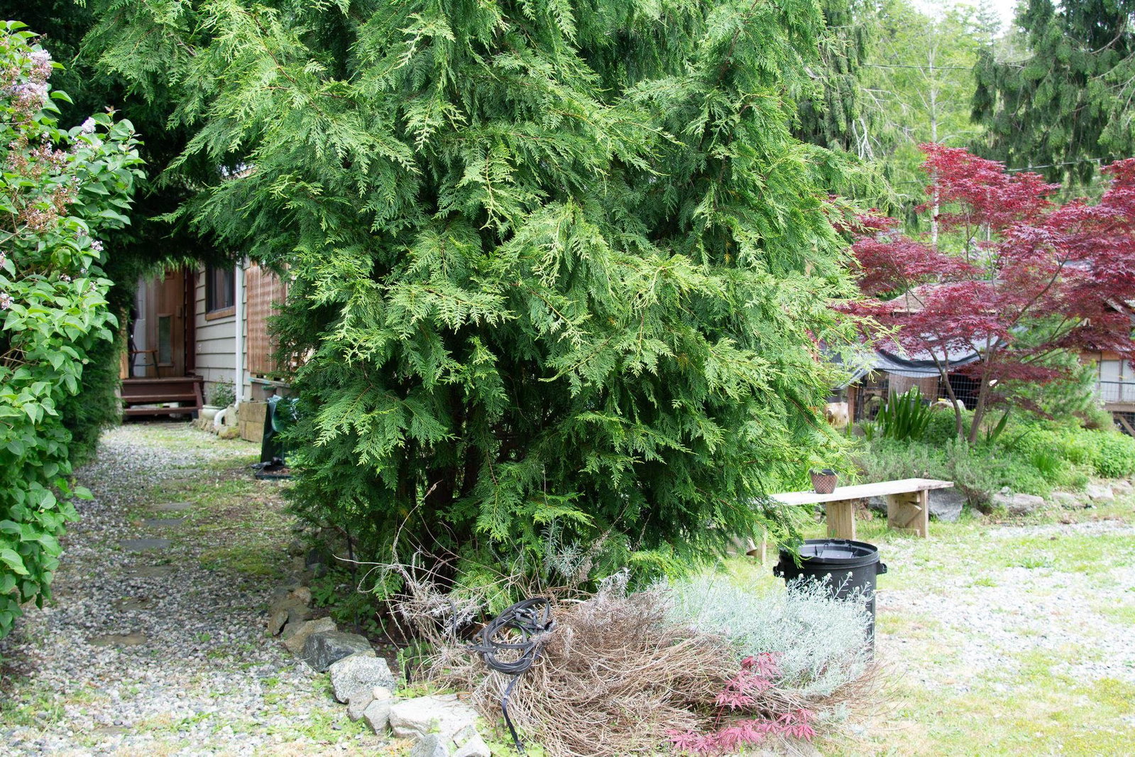 Listing Image 21