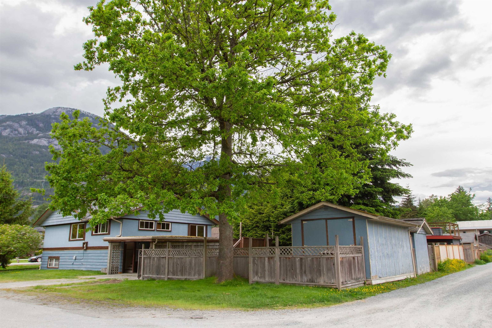 Listing Image 5