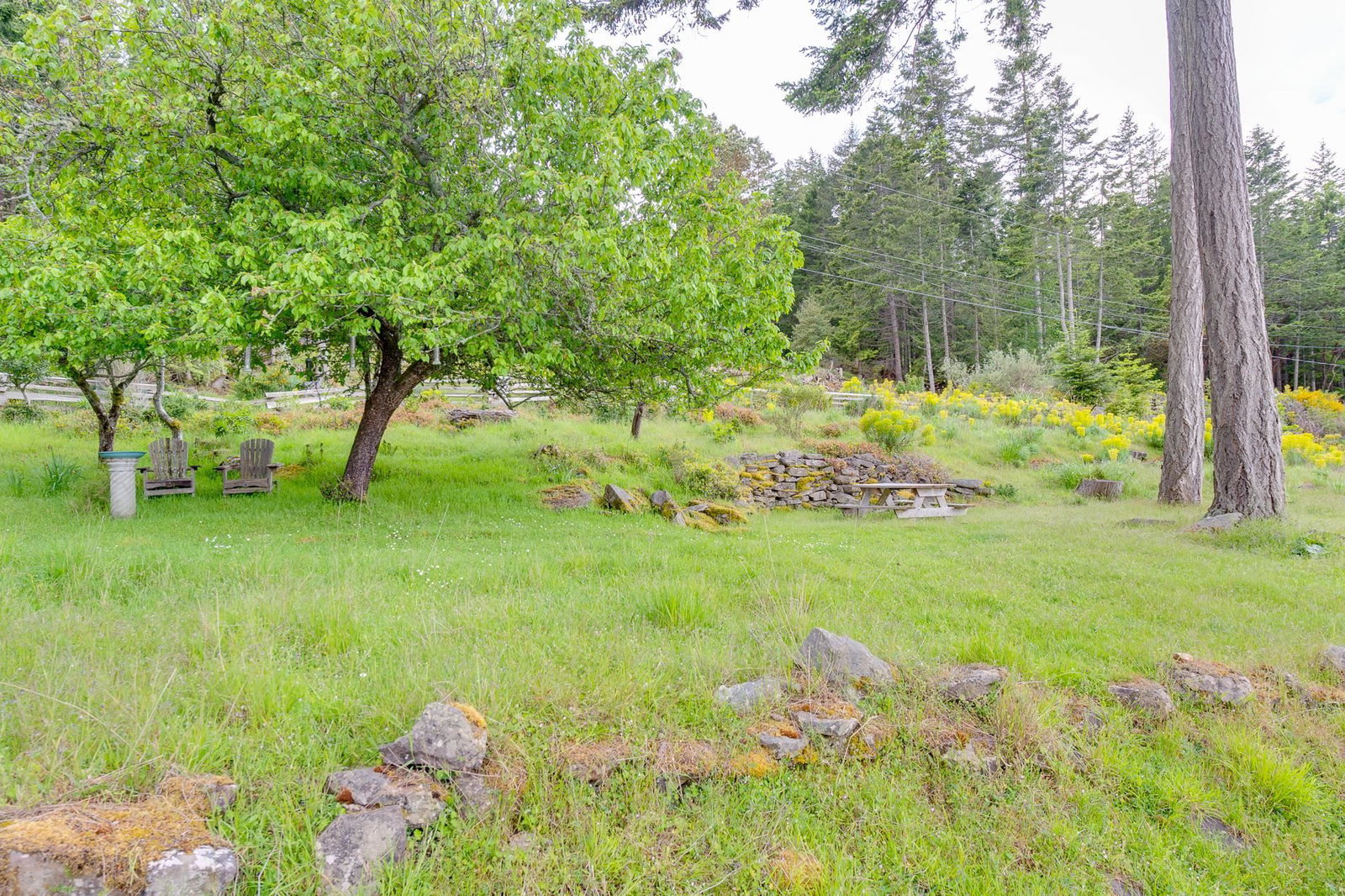 Listing Image 38