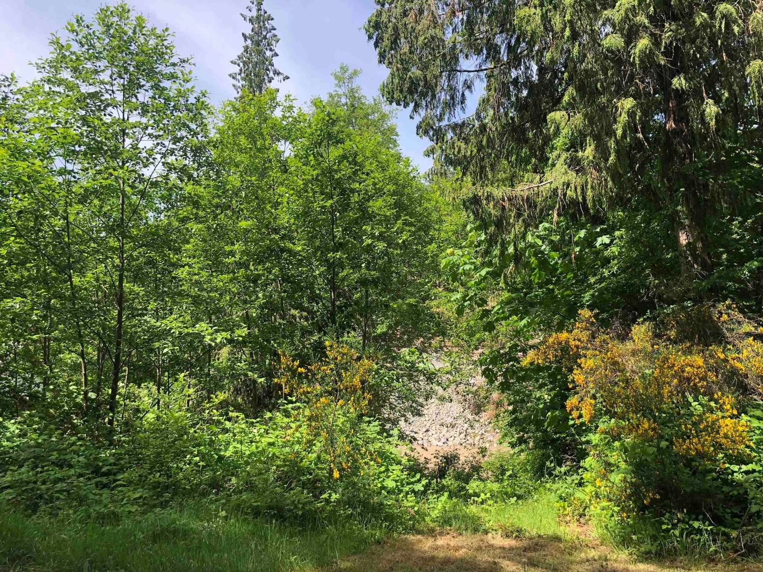Listing Image 5