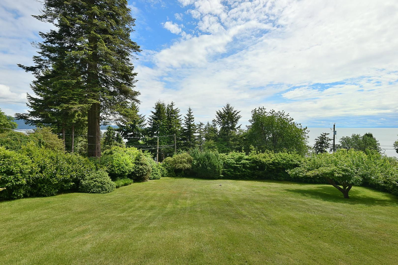 Listing Image 24