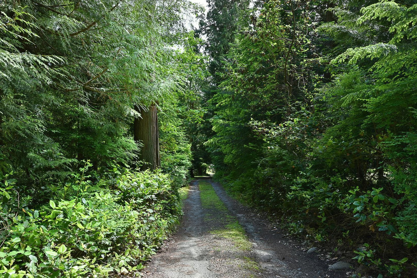 Listing Image 38