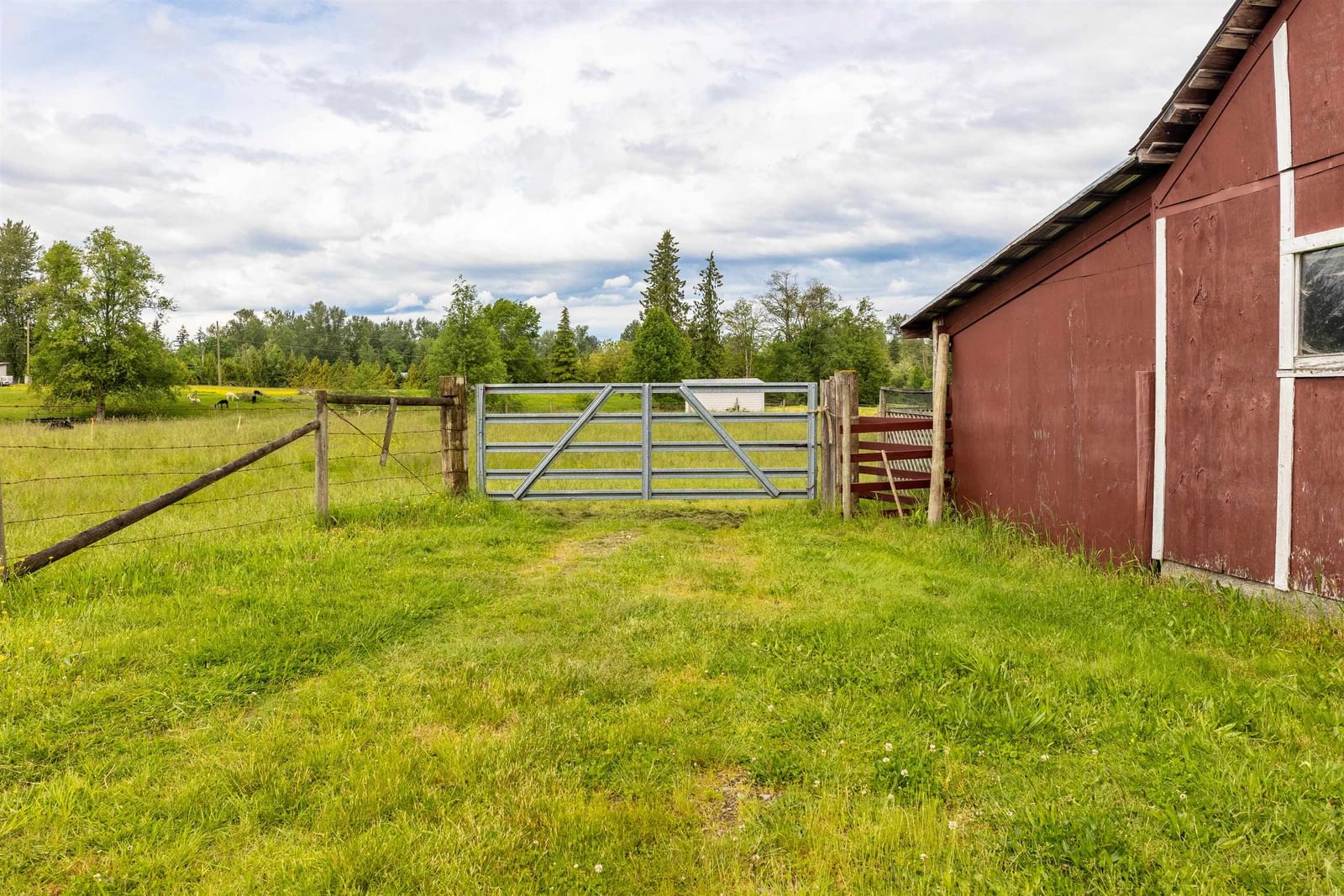 Listing Image 23
