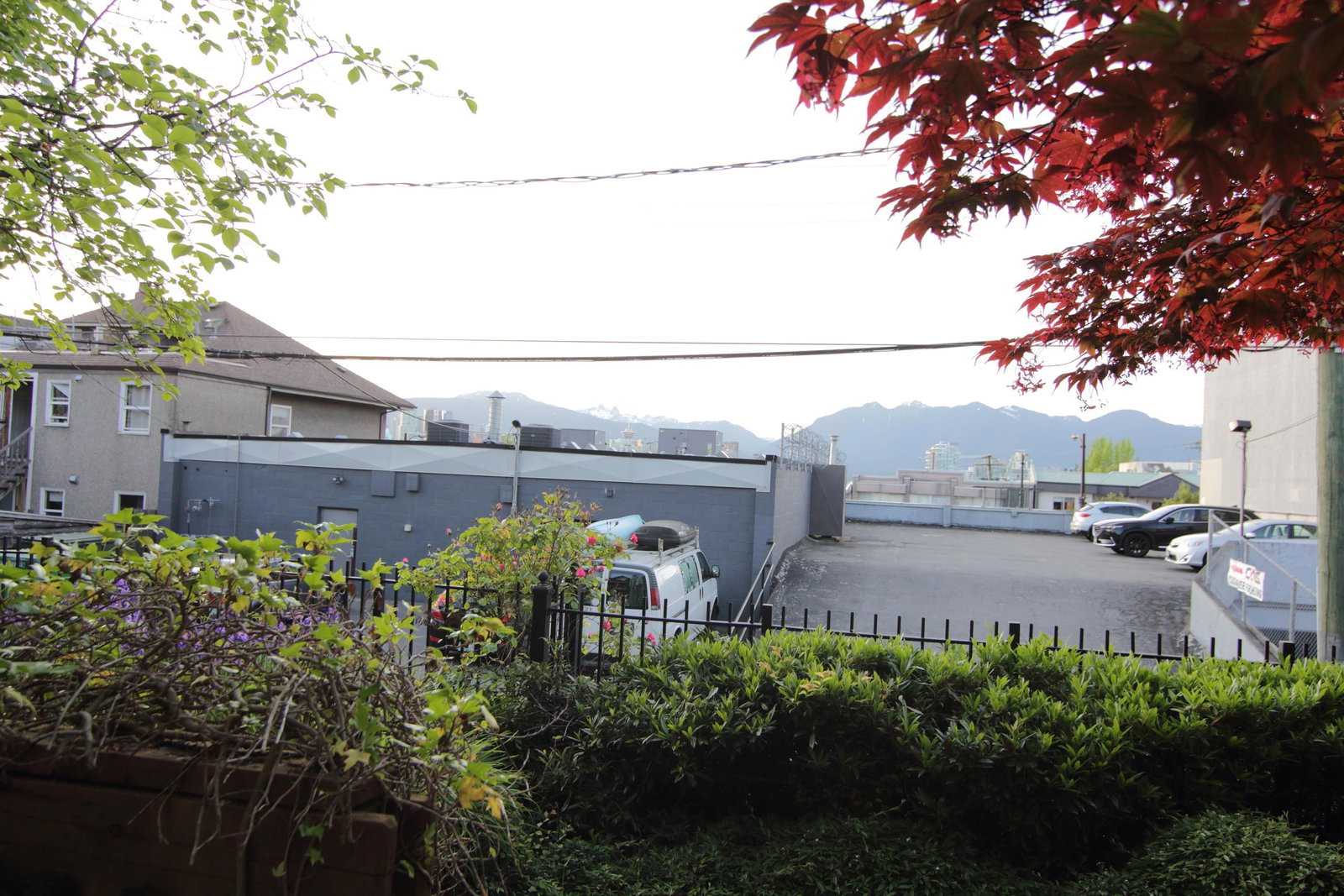 Listing Image 20