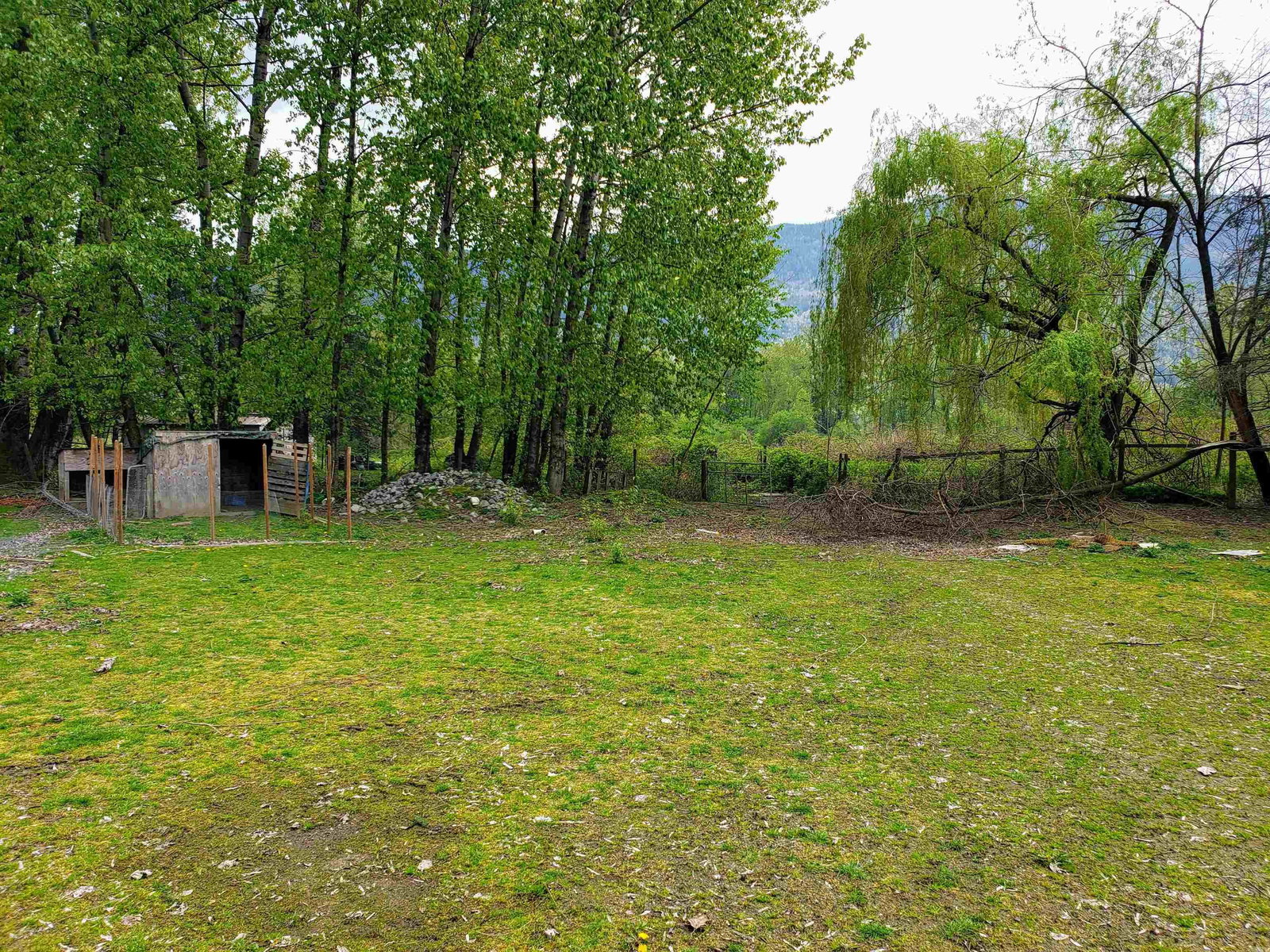 Listing Image 14