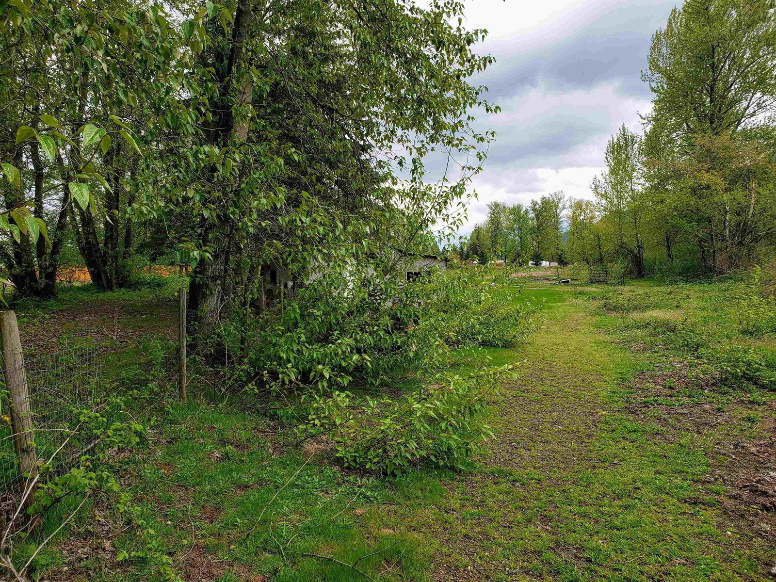 Listing Image 22