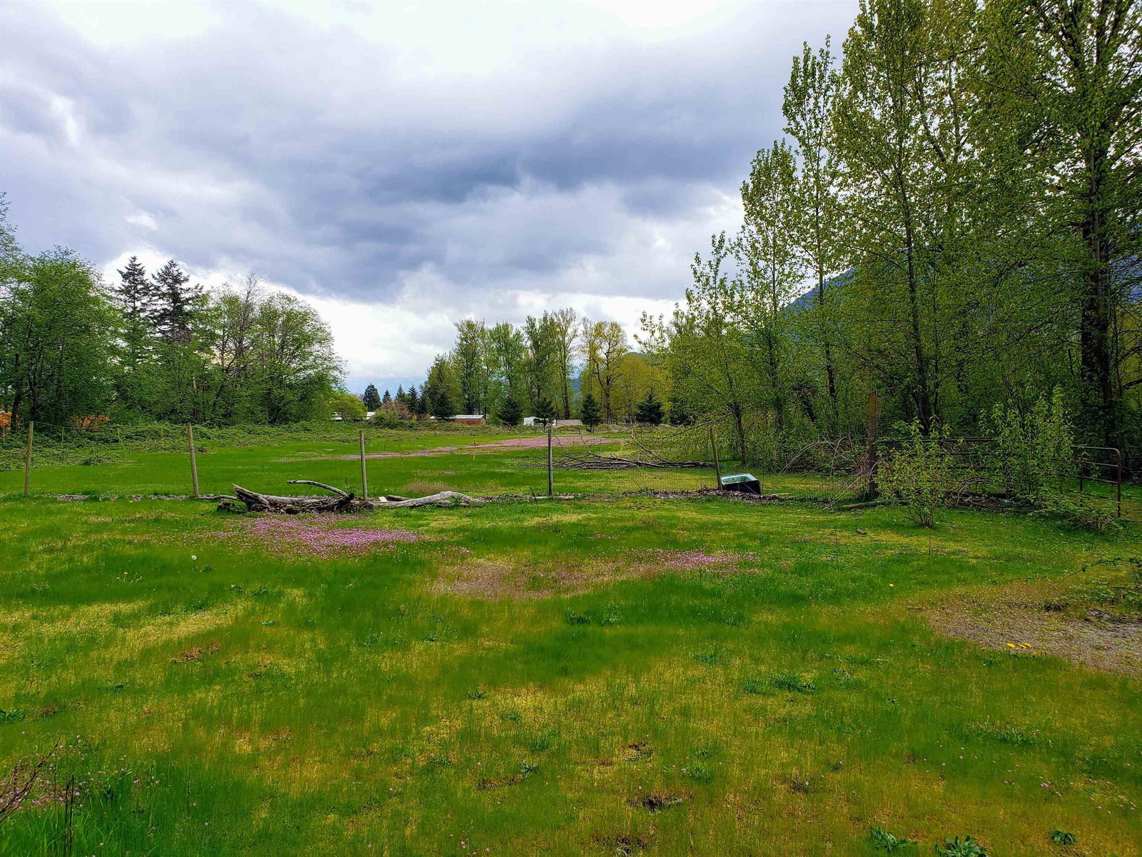 Listing Image 25