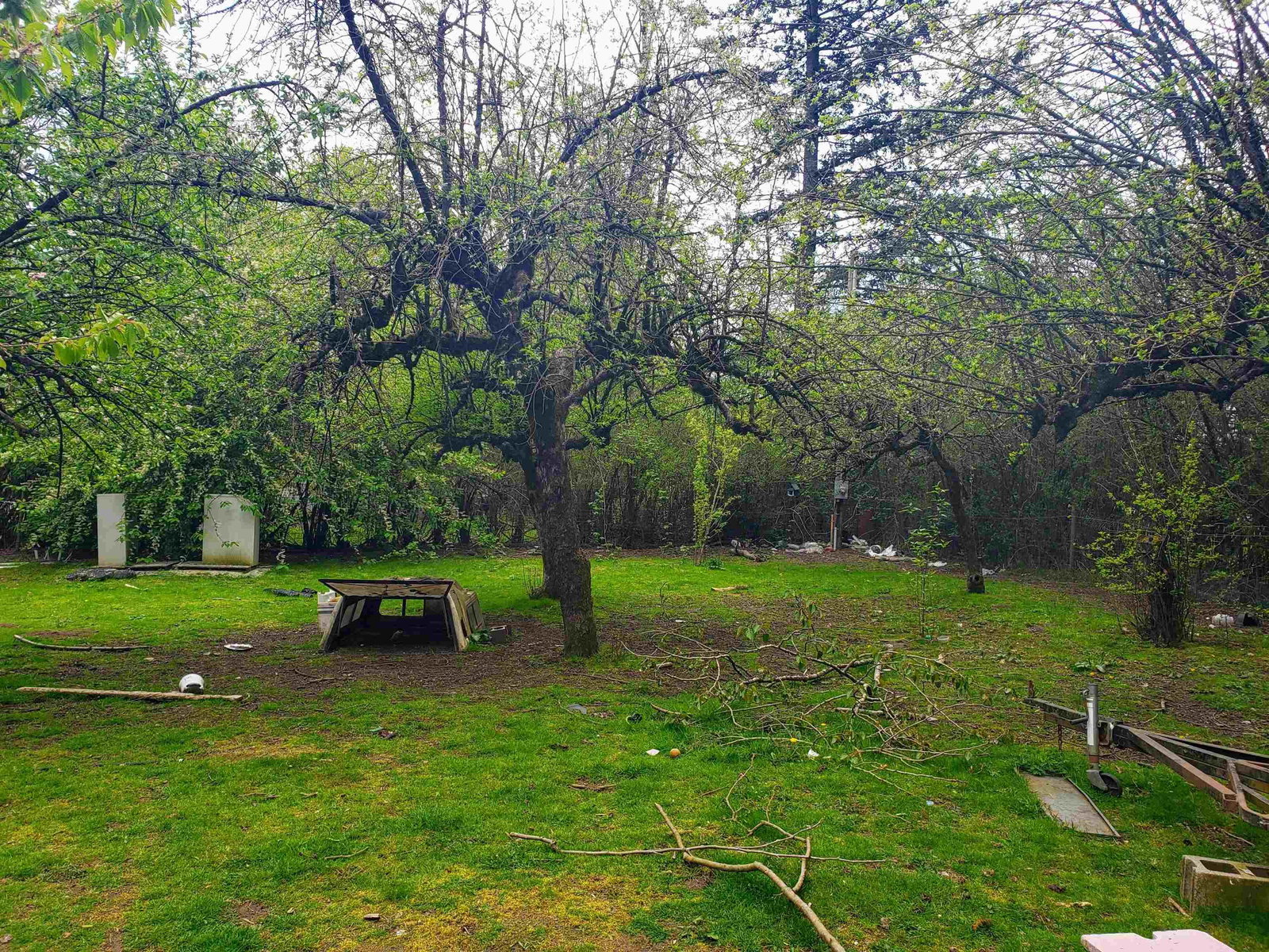 Listing Image 6