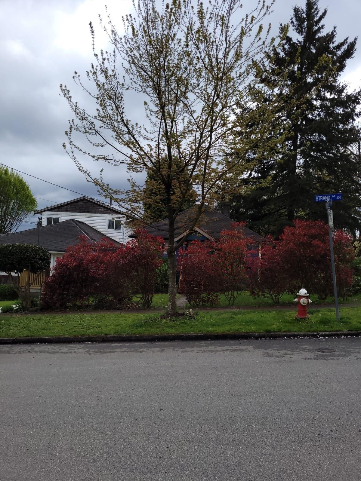 Listing Image 12
