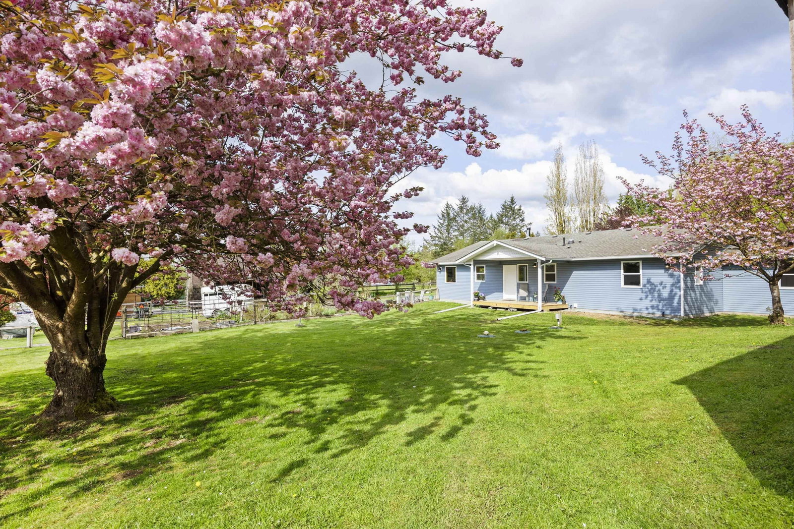 Listing Image 24