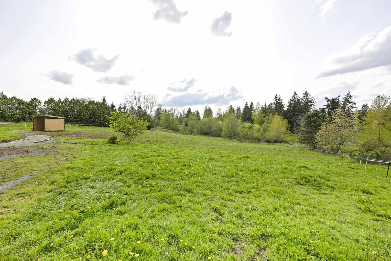 Listing Image 27