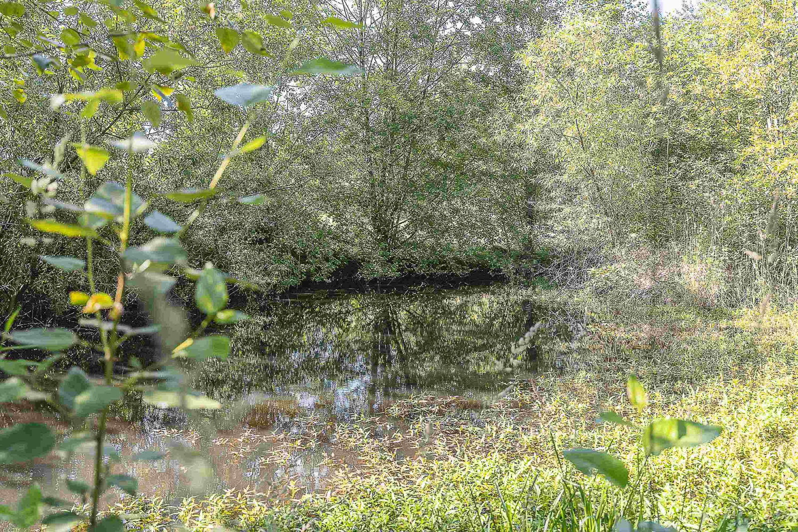 Listing Image 36