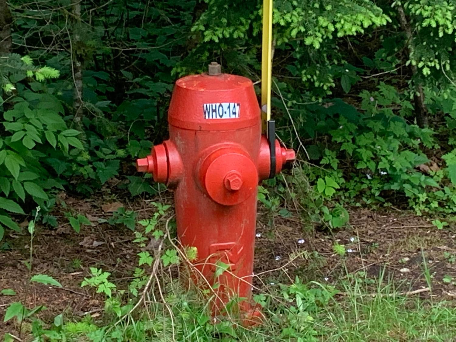 Listing Image 6