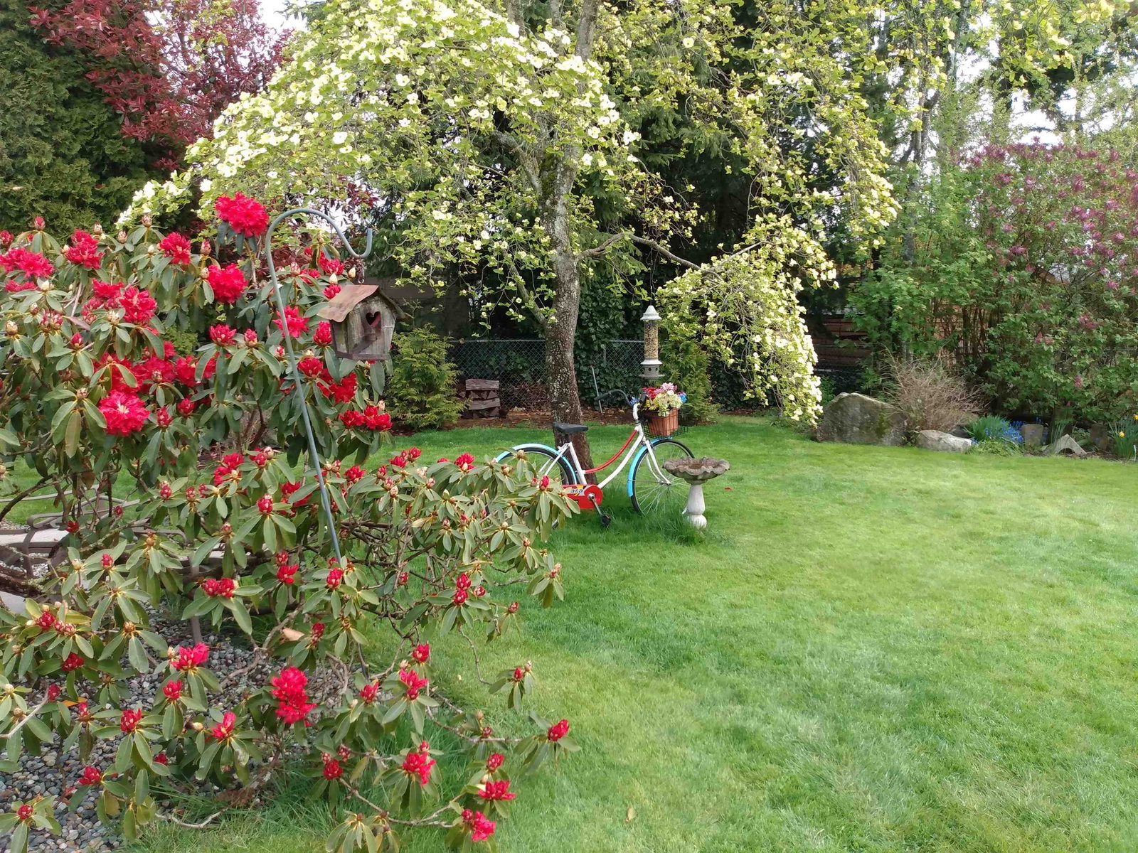 Listing Image 34