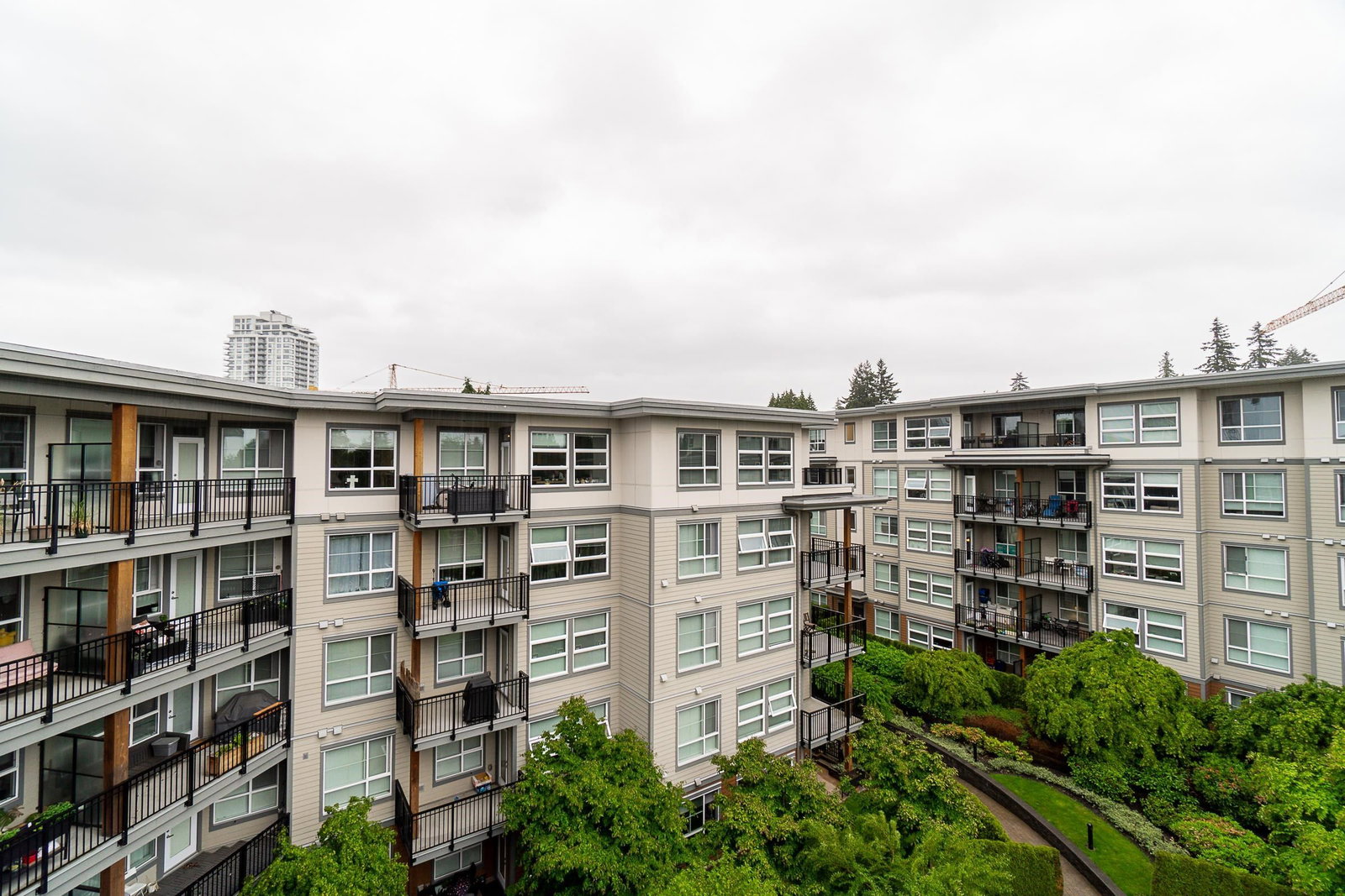 Listing Image 20