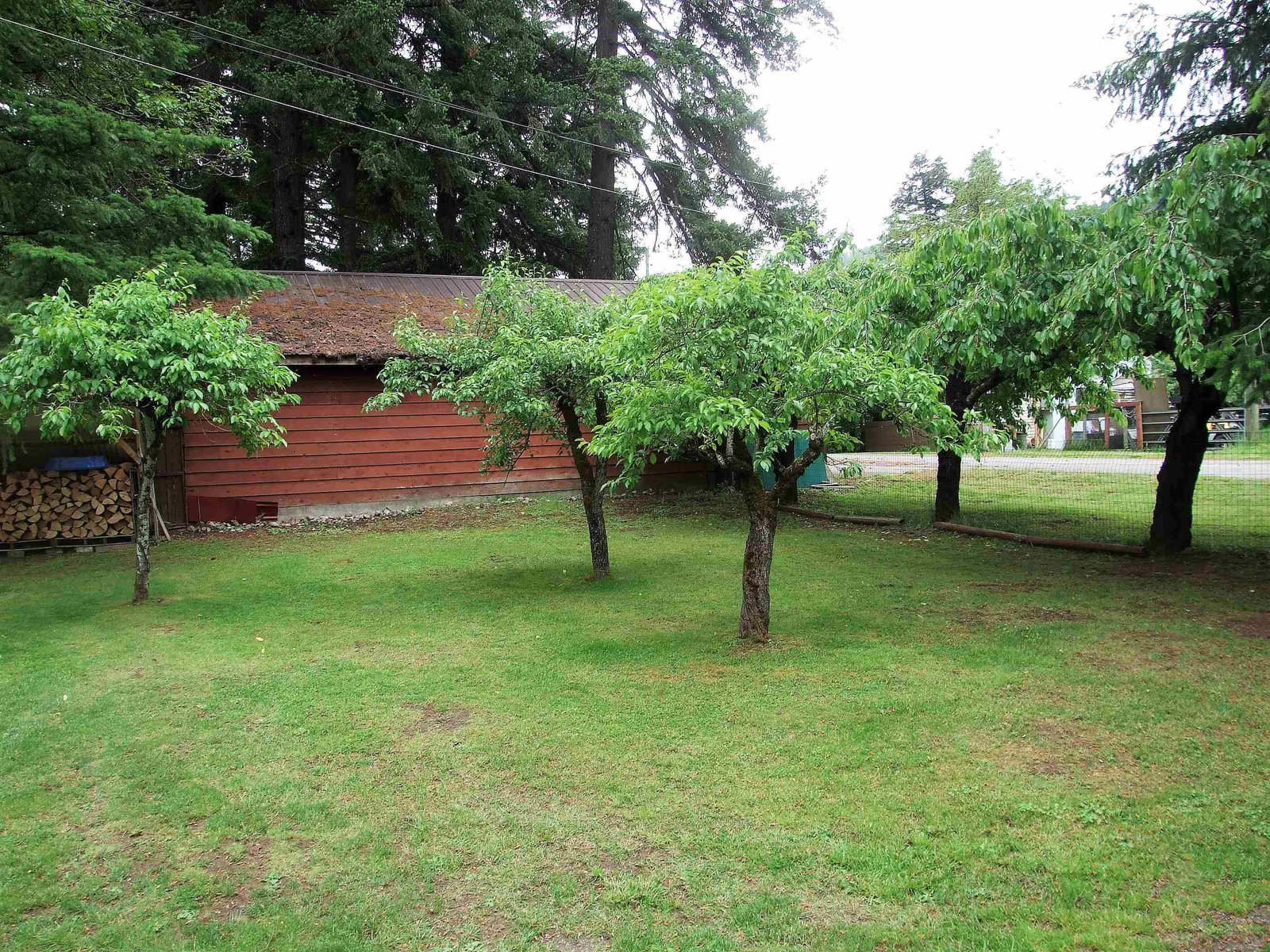 Listing Image 9
