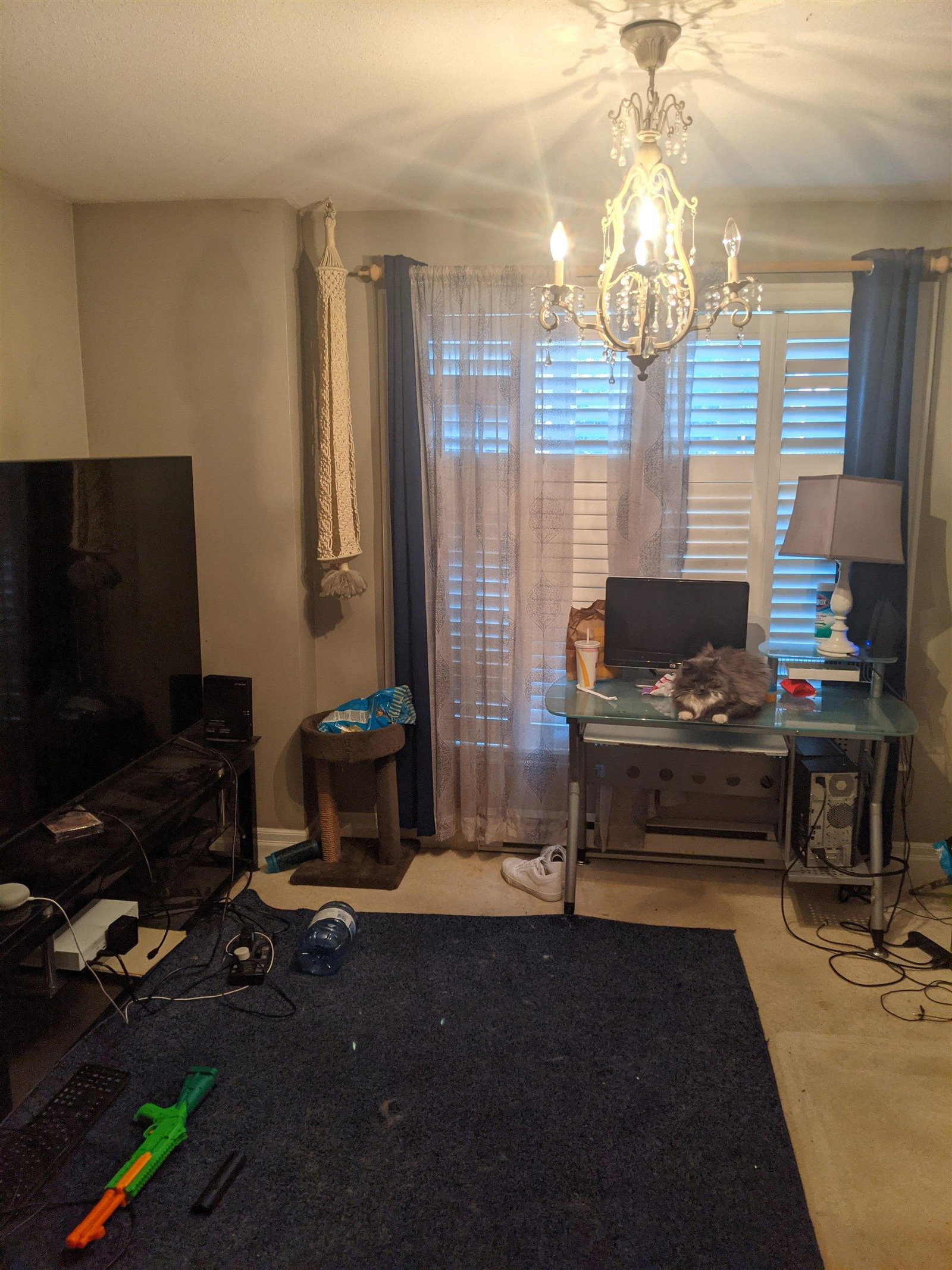 Listing Image 23