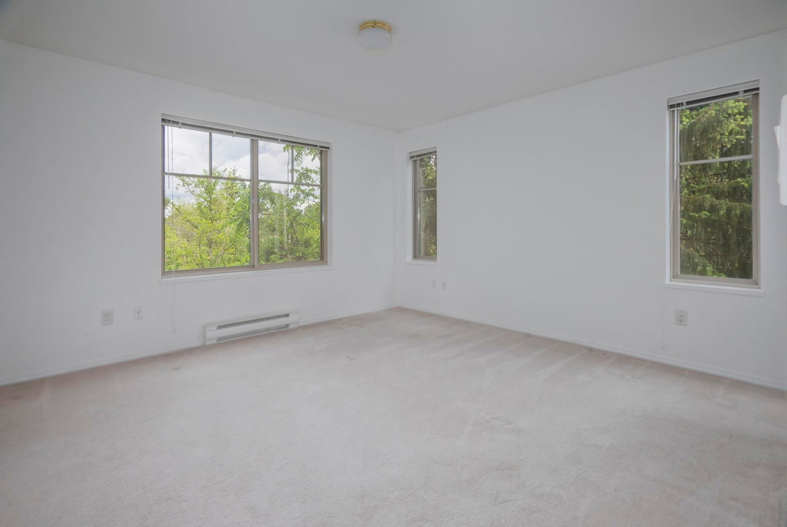 Listing Image 28