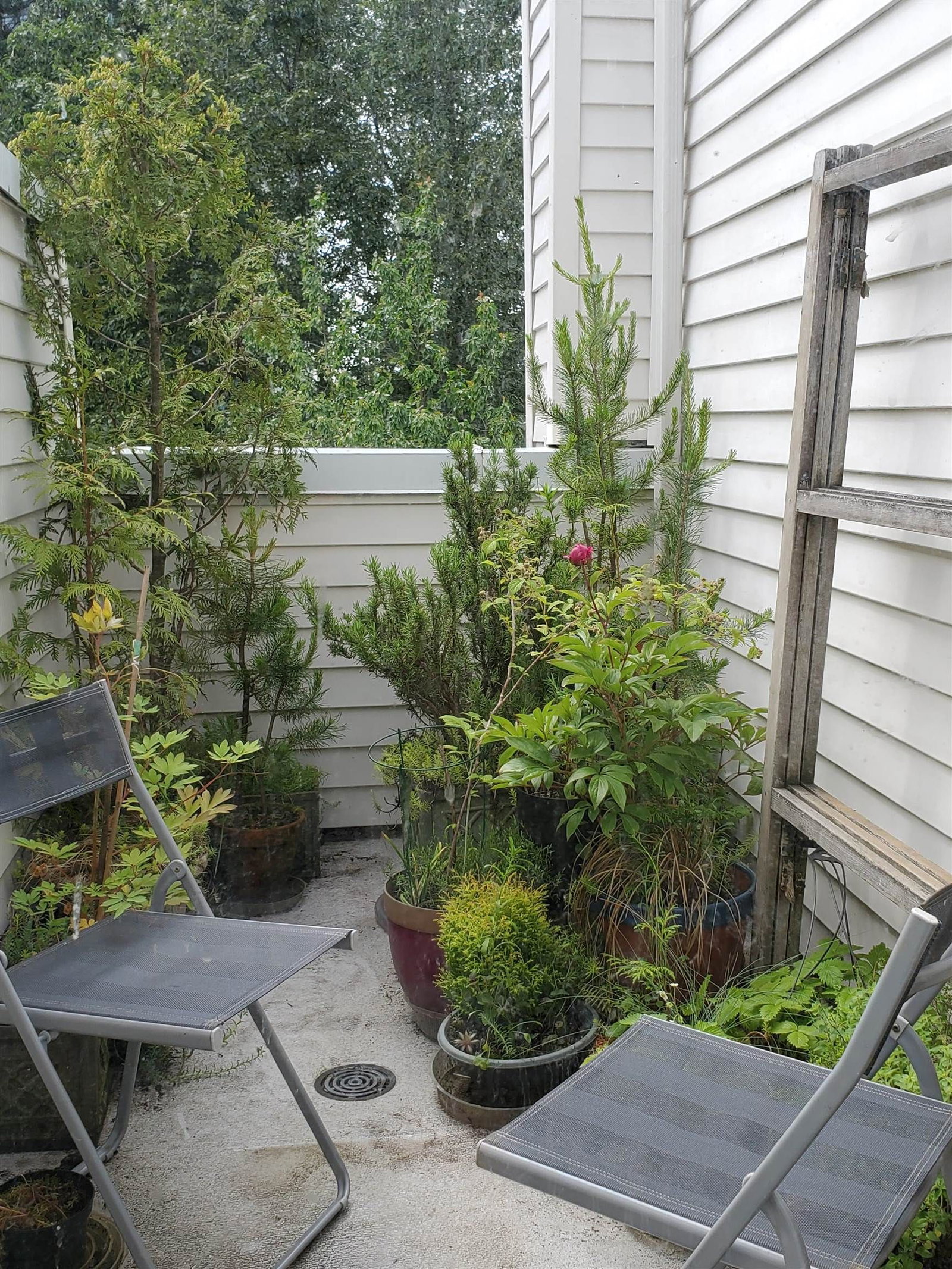 Listing Image 30