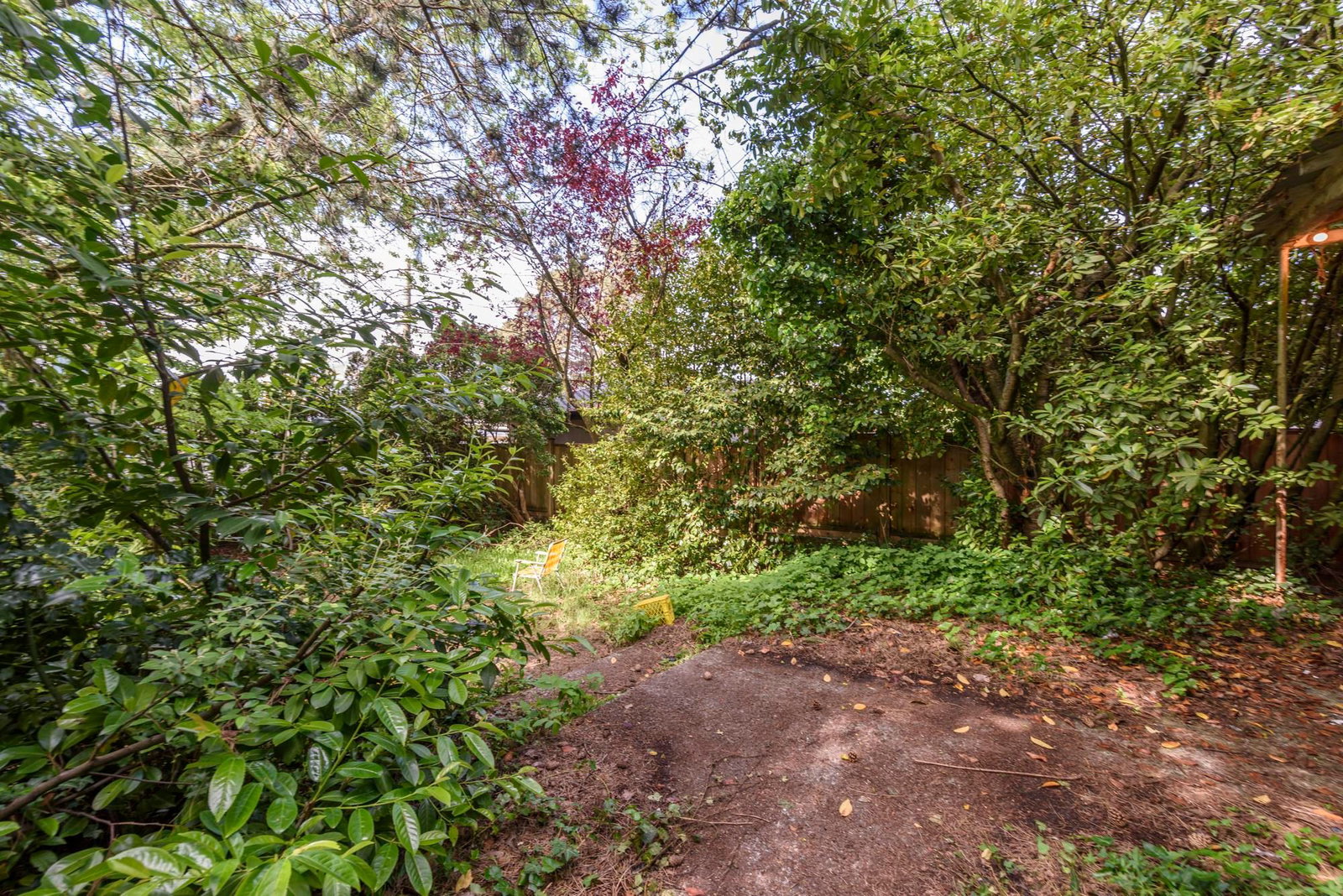 Listing Image 39