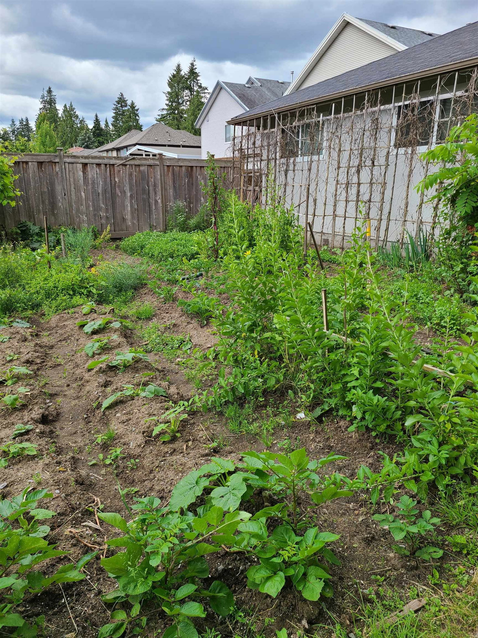 Listing Image 22