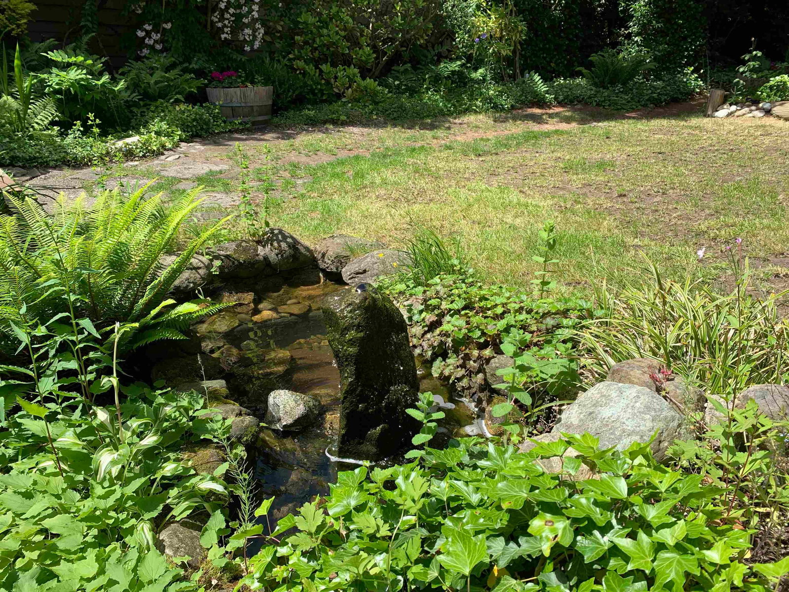 Listing Image 27