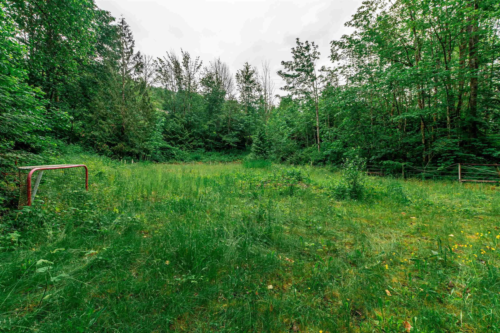 Listing Image 38