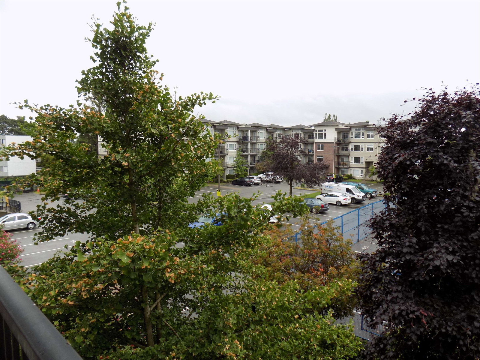Listing Image 18
