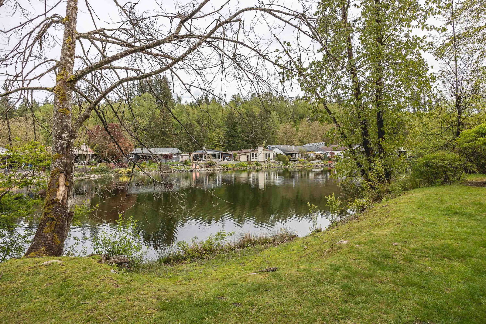 Listing Image 37