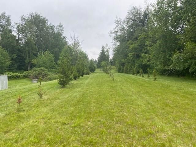 Listing Image 29