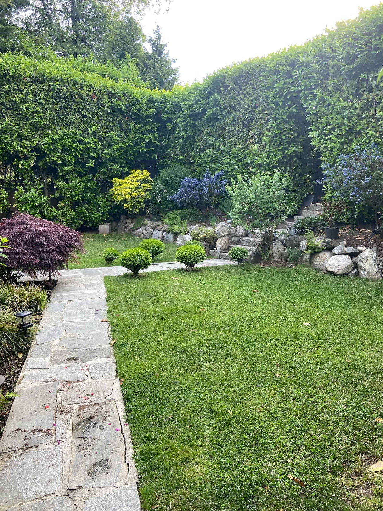 Listing Image 32