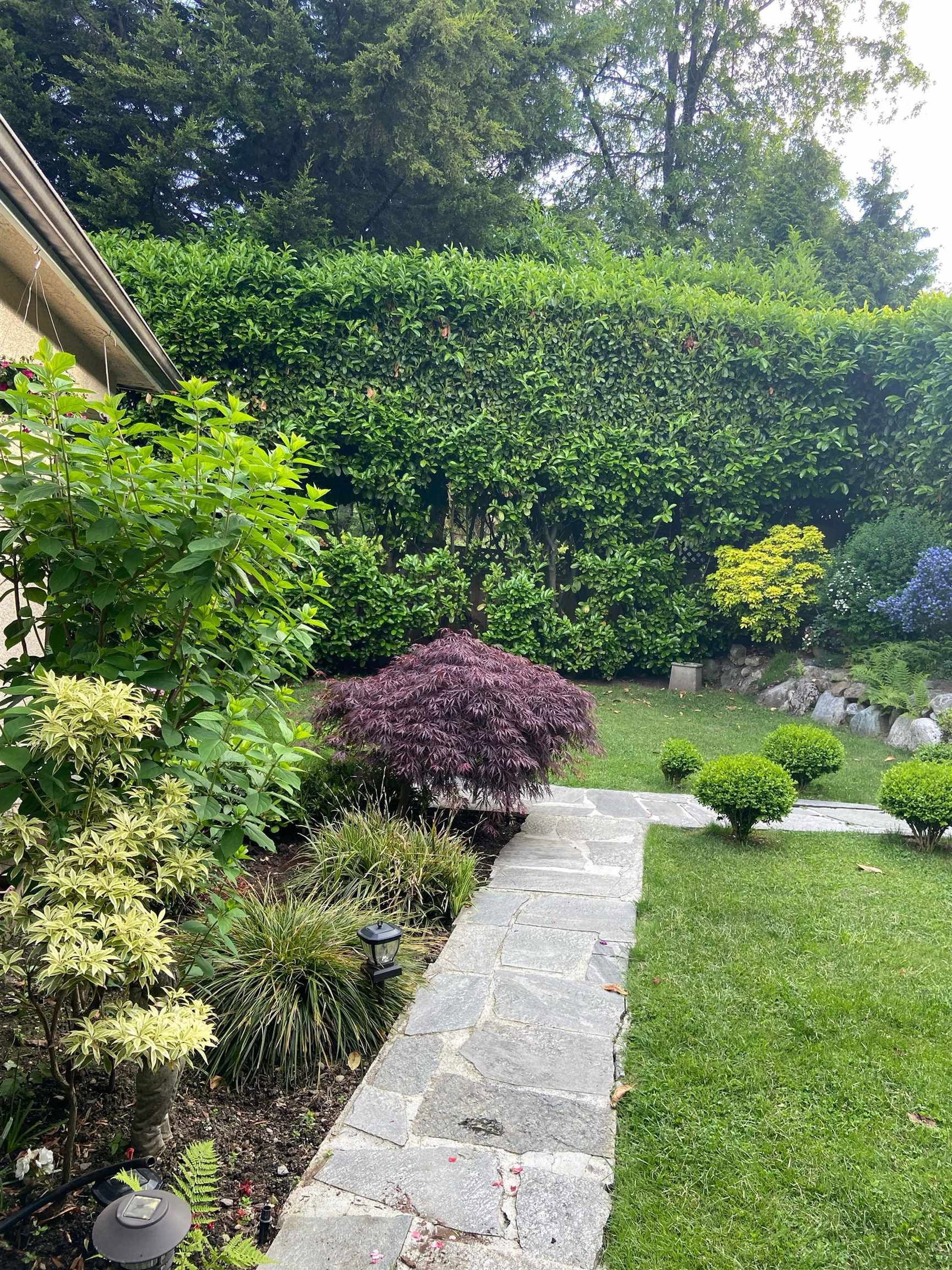 Listing Image 34