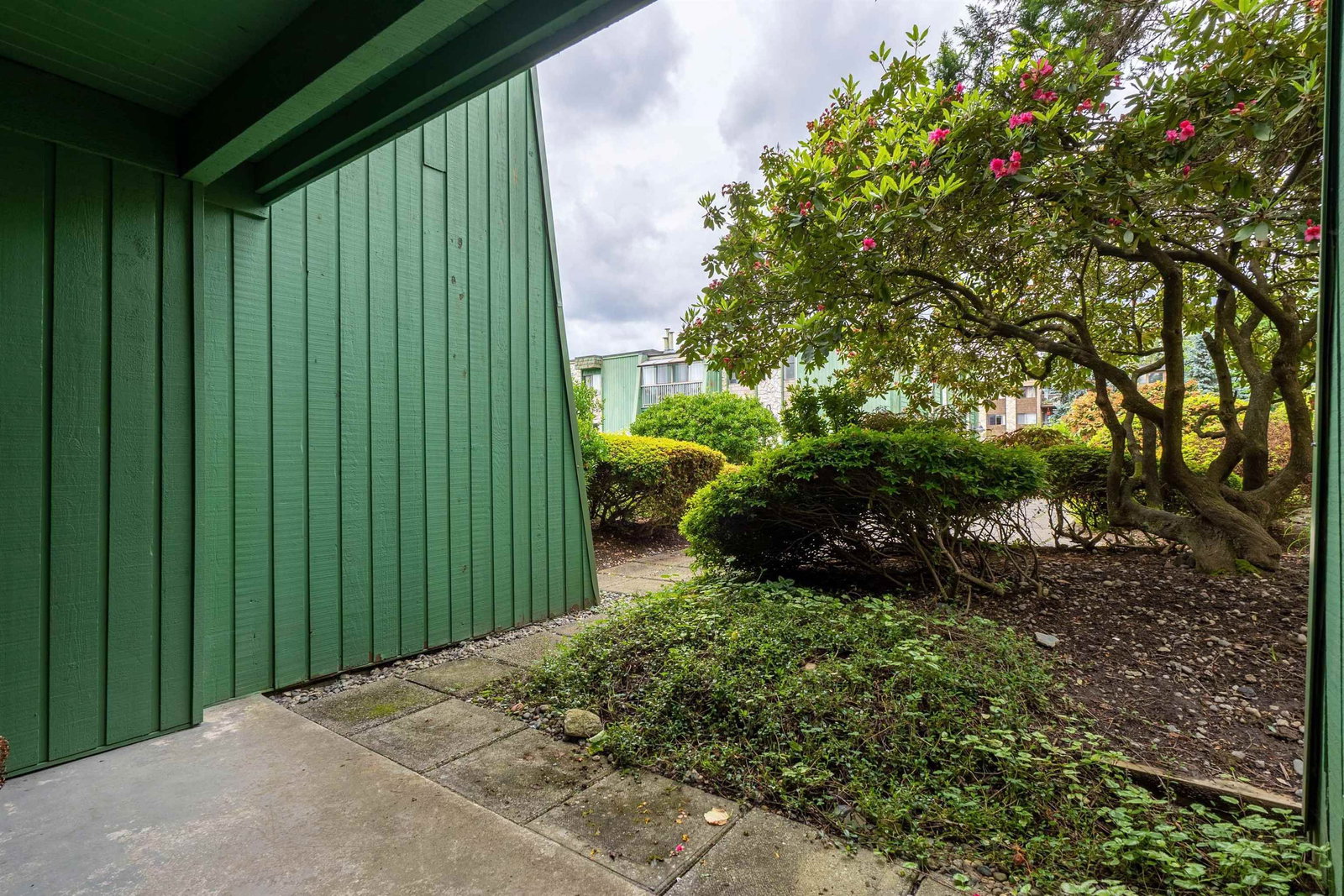 Listing Image 29