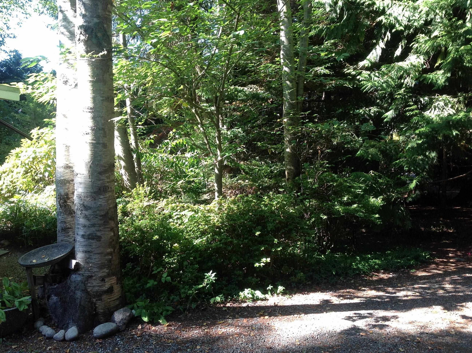 Listing Image 23