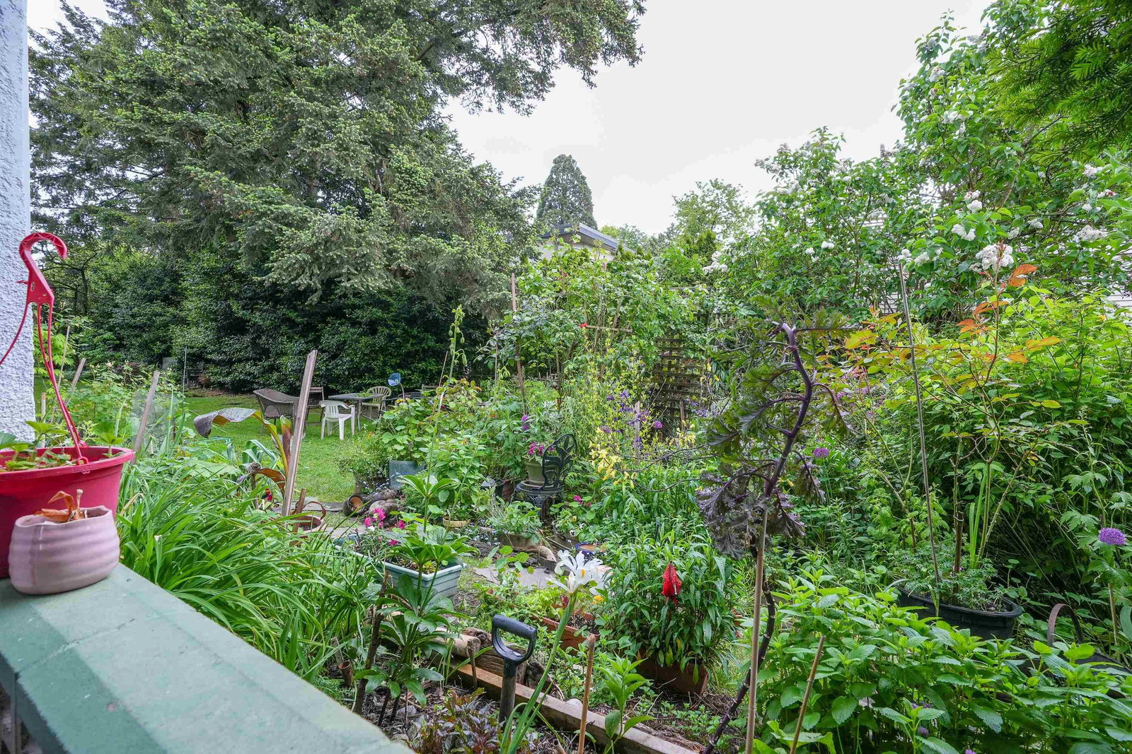 Listing Image 11
