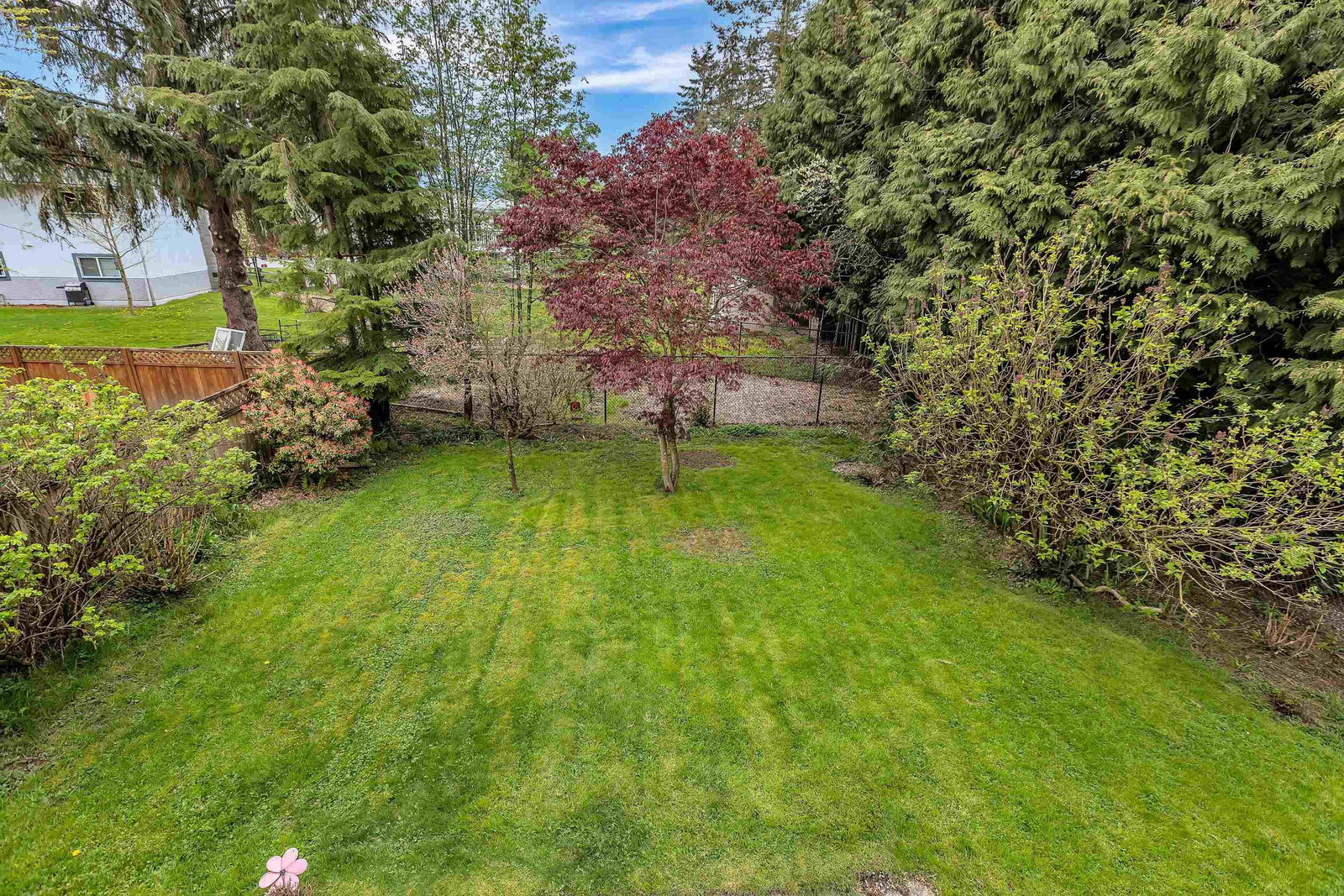 Listing Image 31