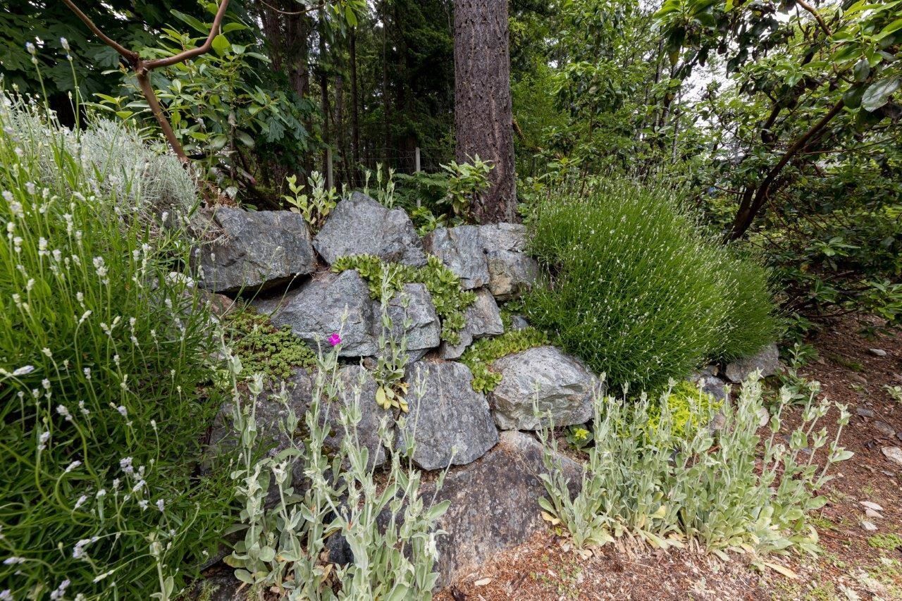 Listing Image 27