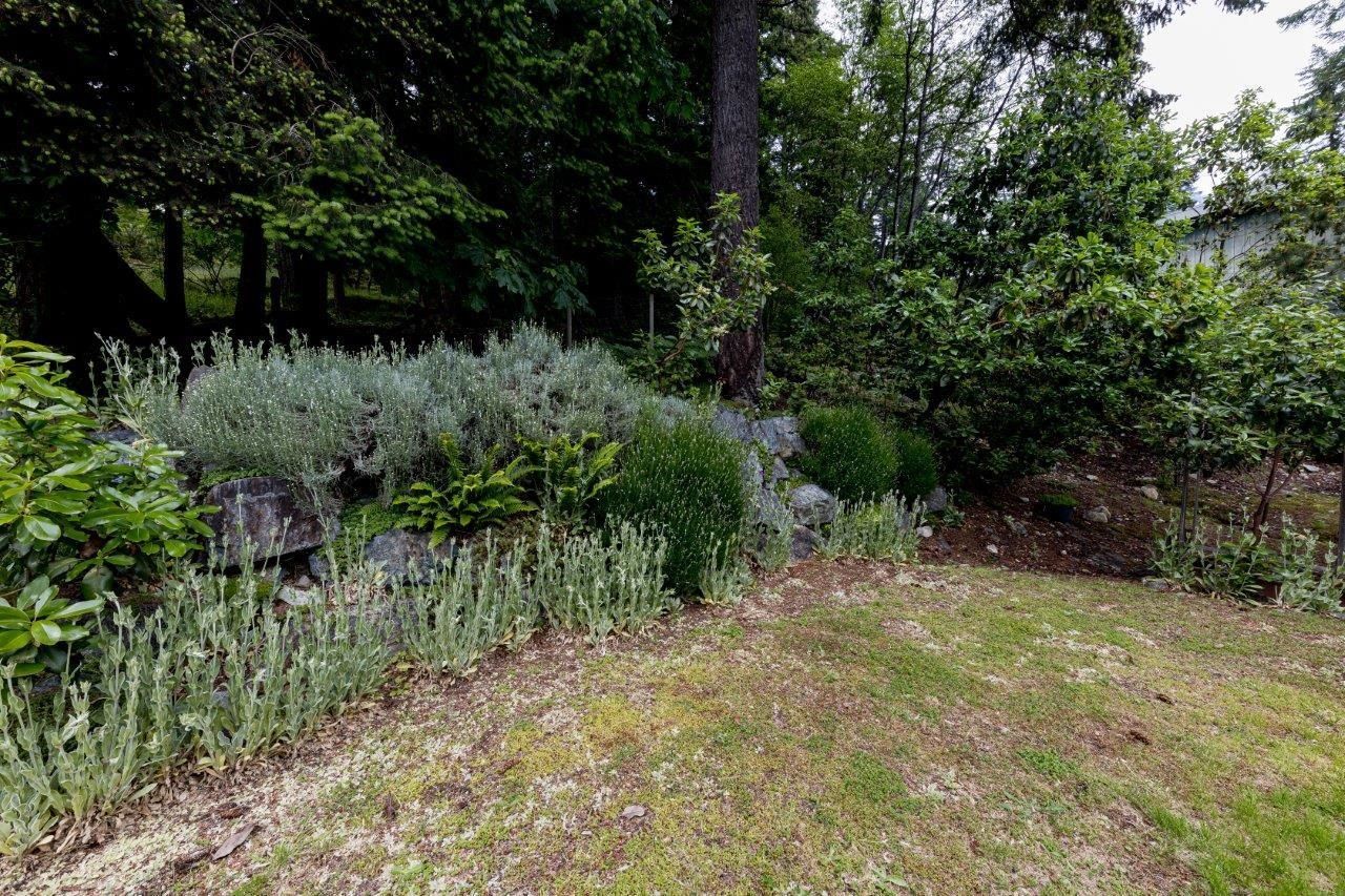 Listing Image 36