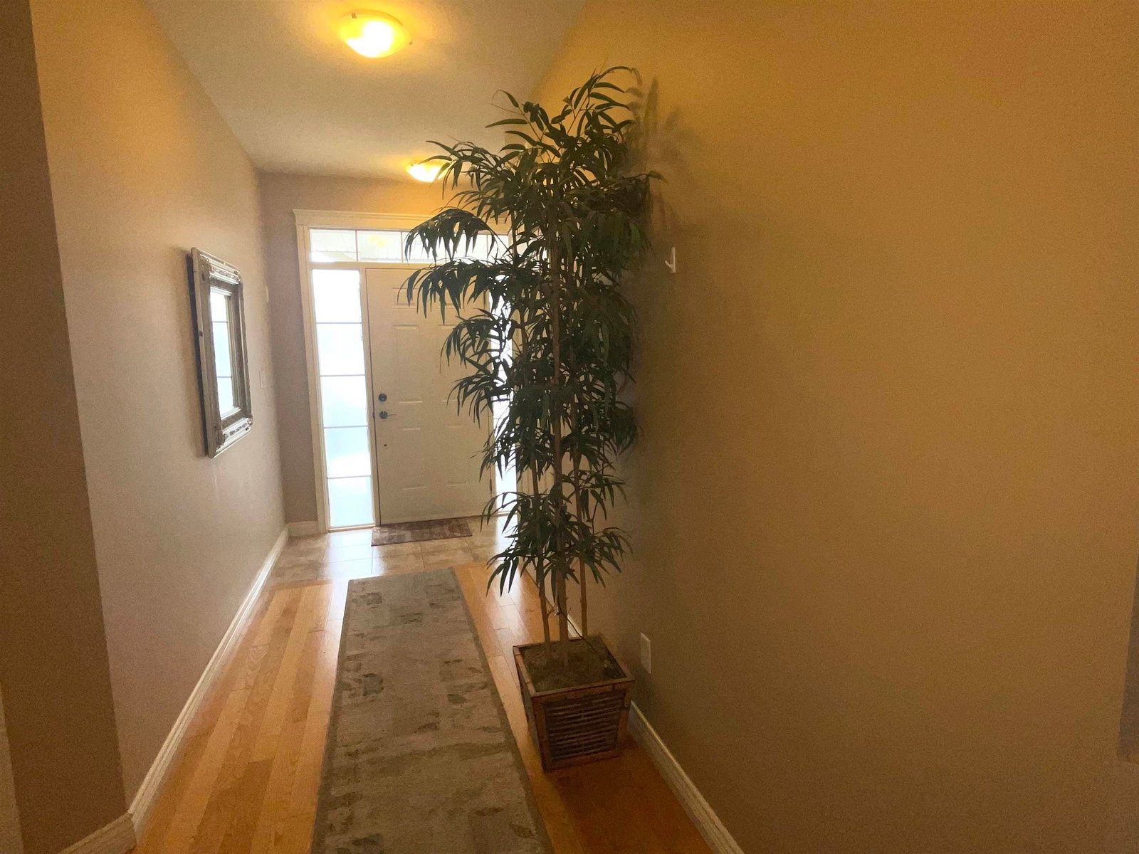 Listing Image 4