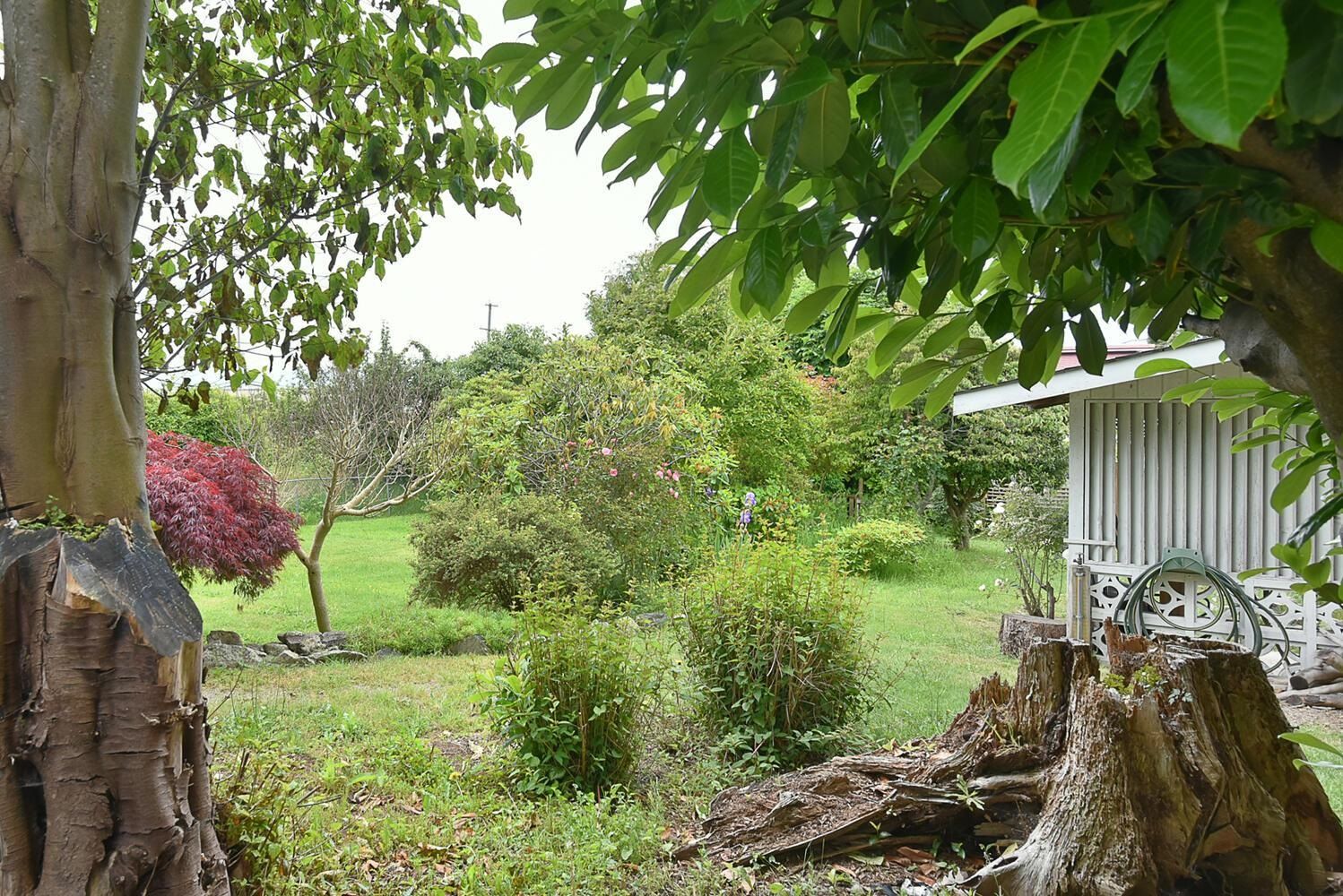 Listing Image 30