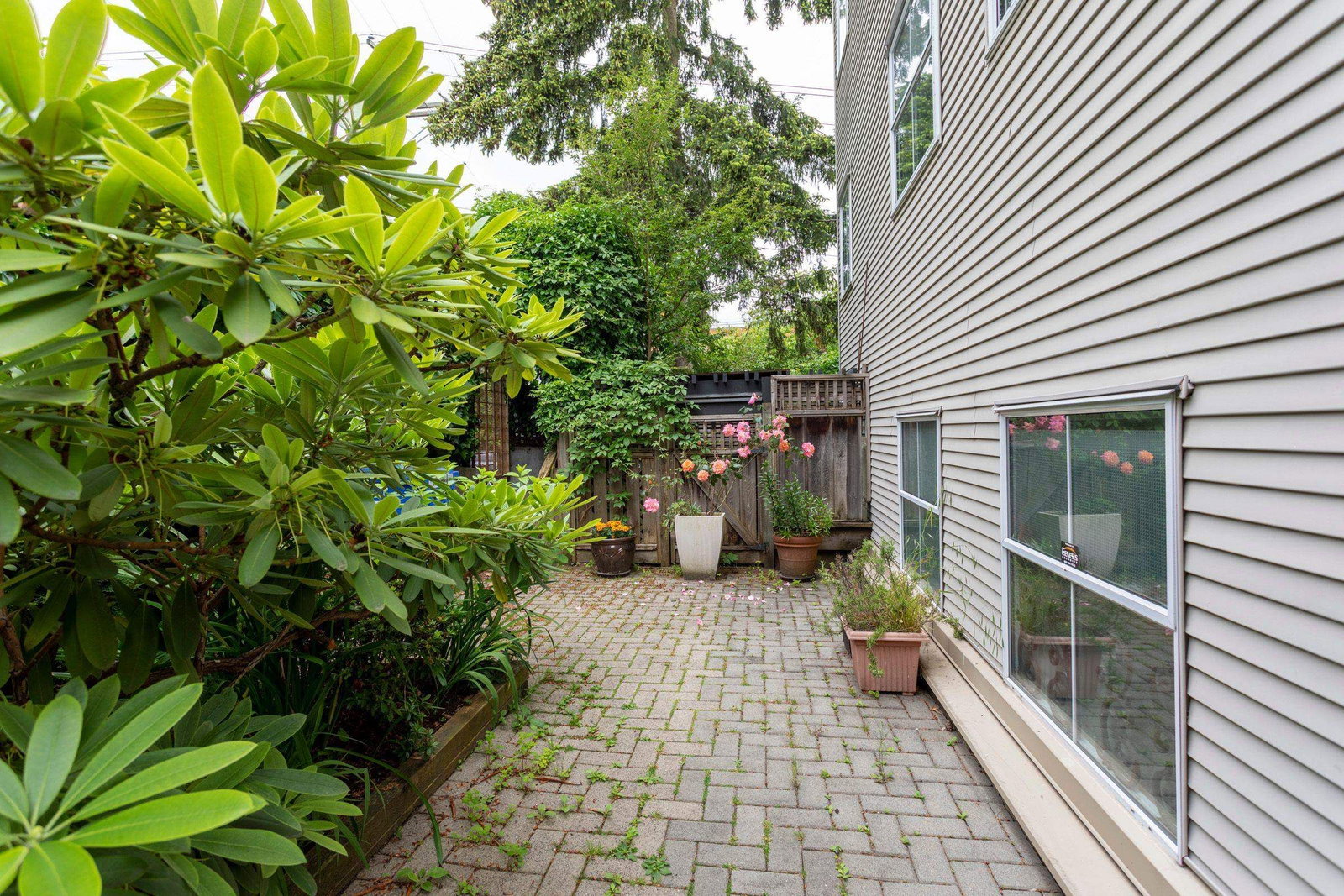 Listing Image 25