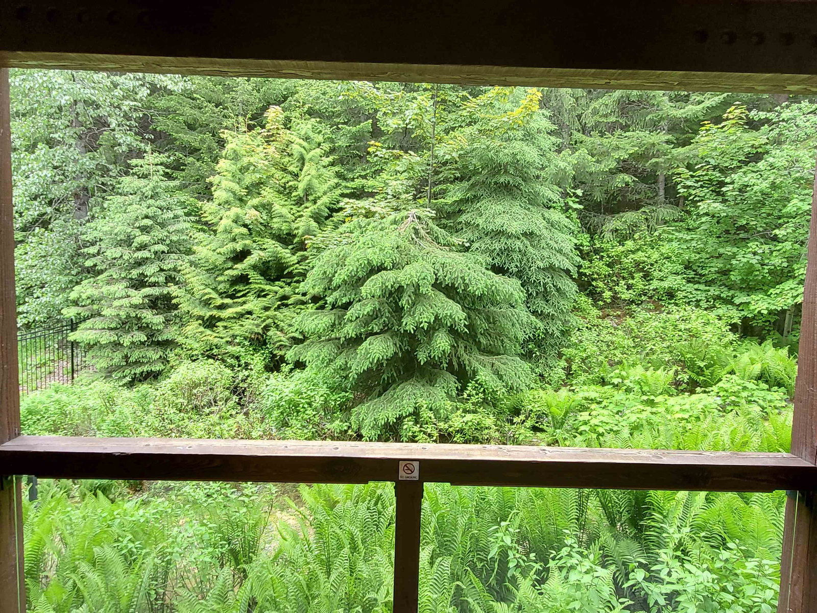 Listing Image 14