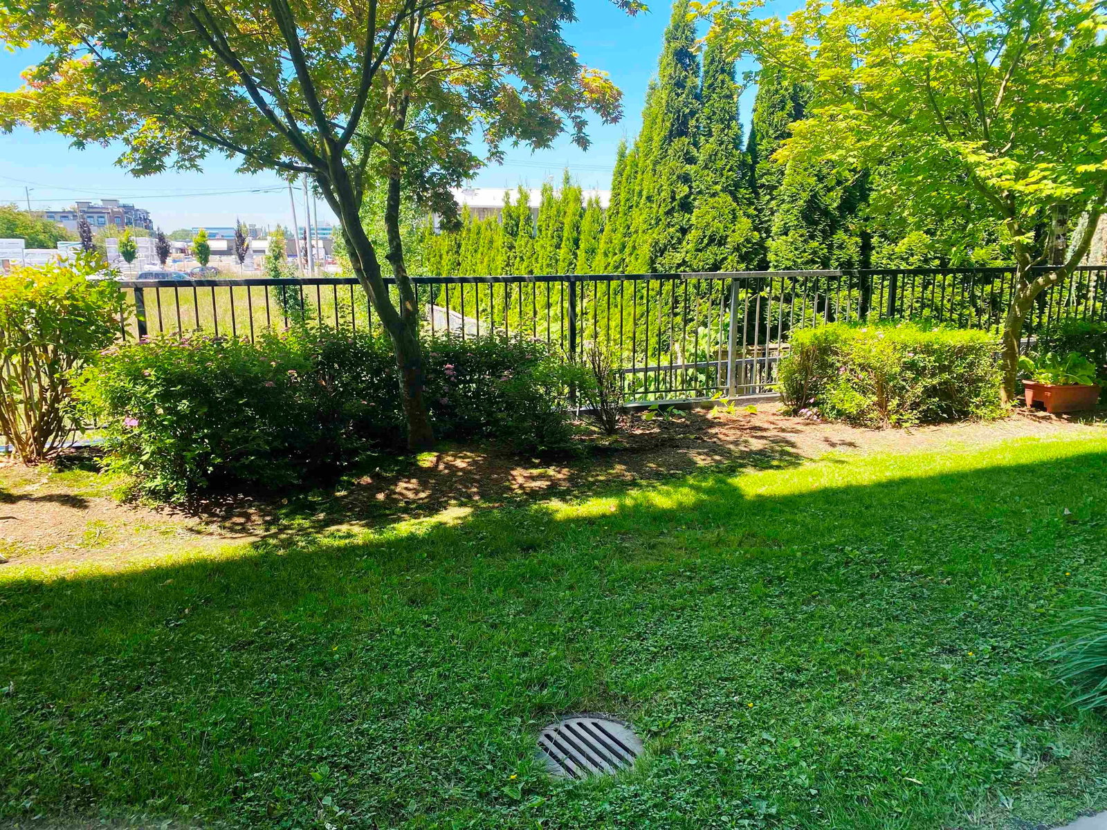 Listing Image 17