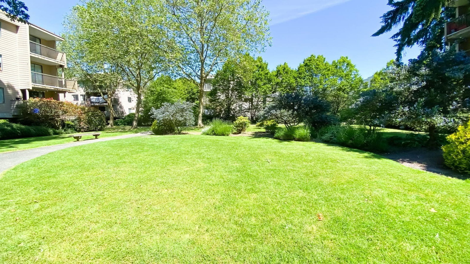 Listing Image 24