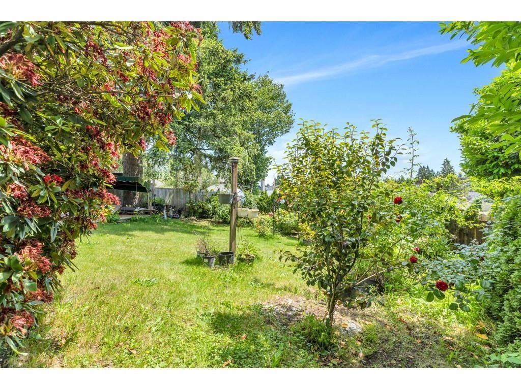 Listing Image 34