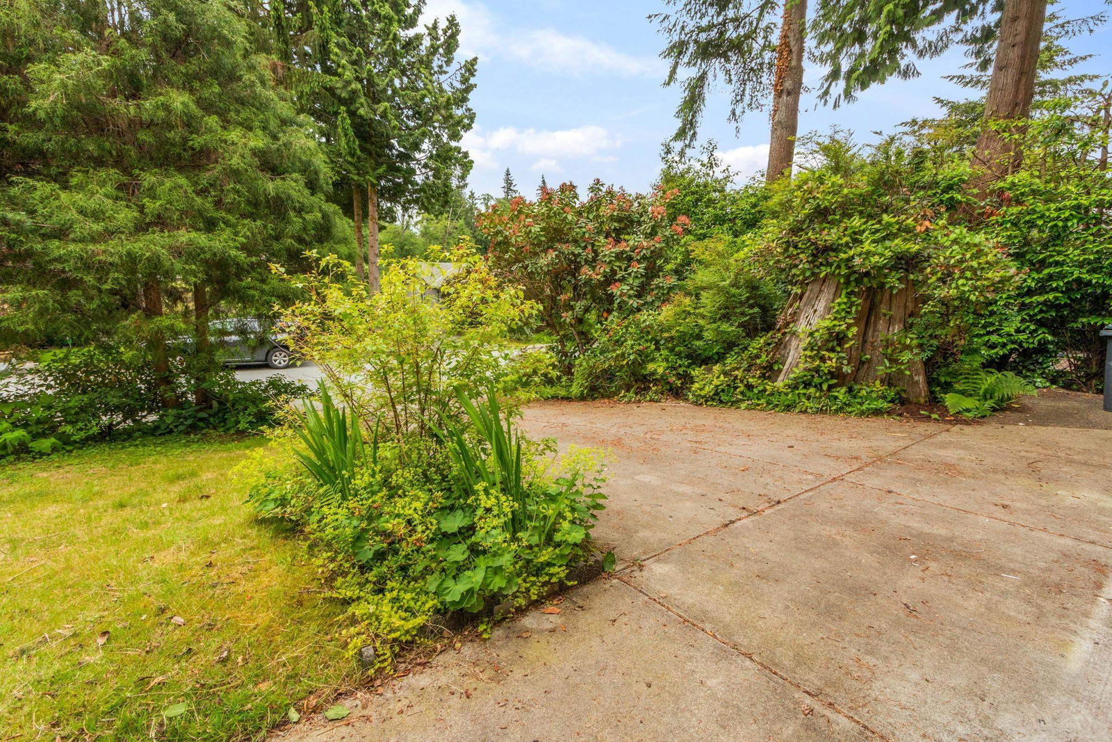 Listing Image 39