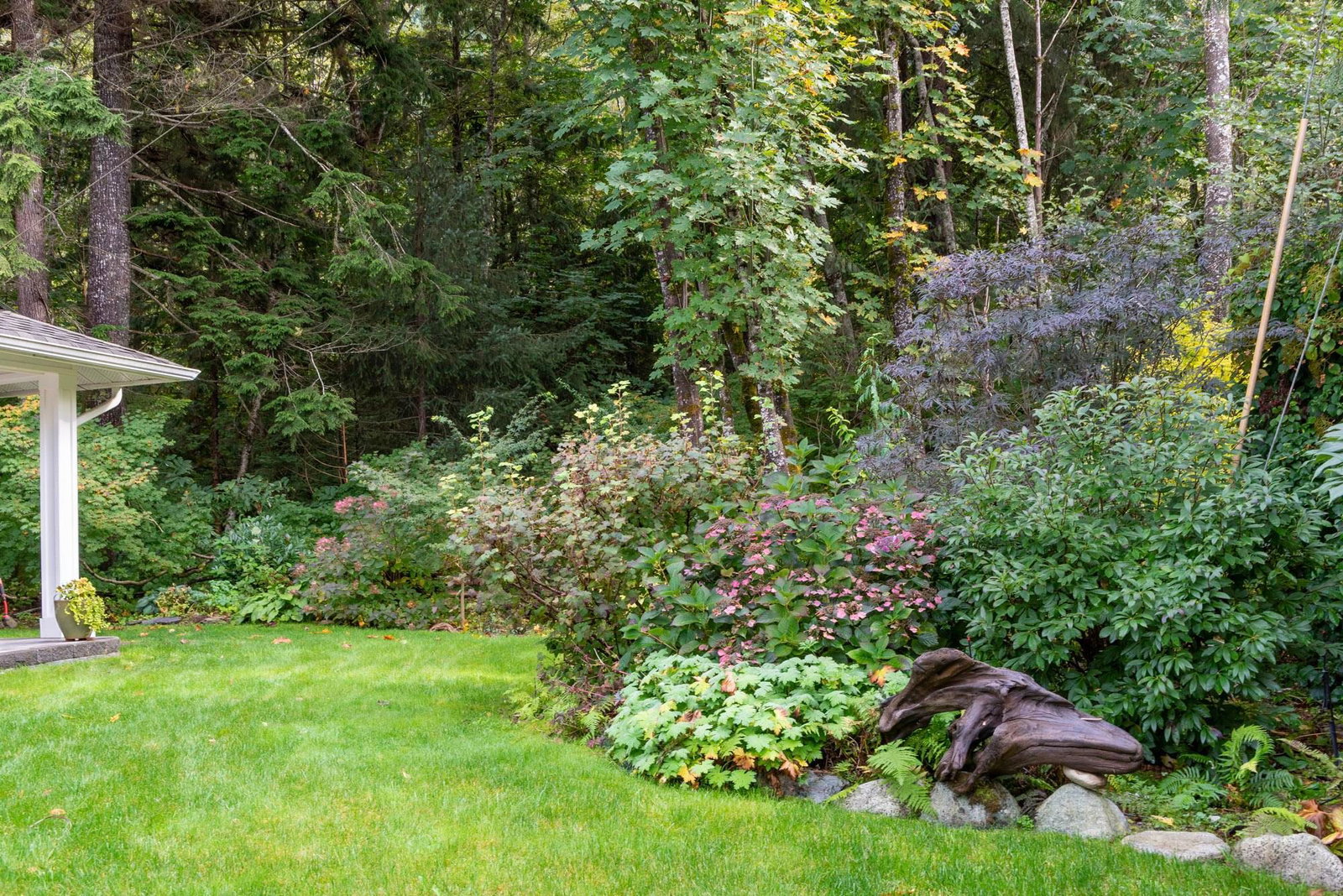 Listing Image 37