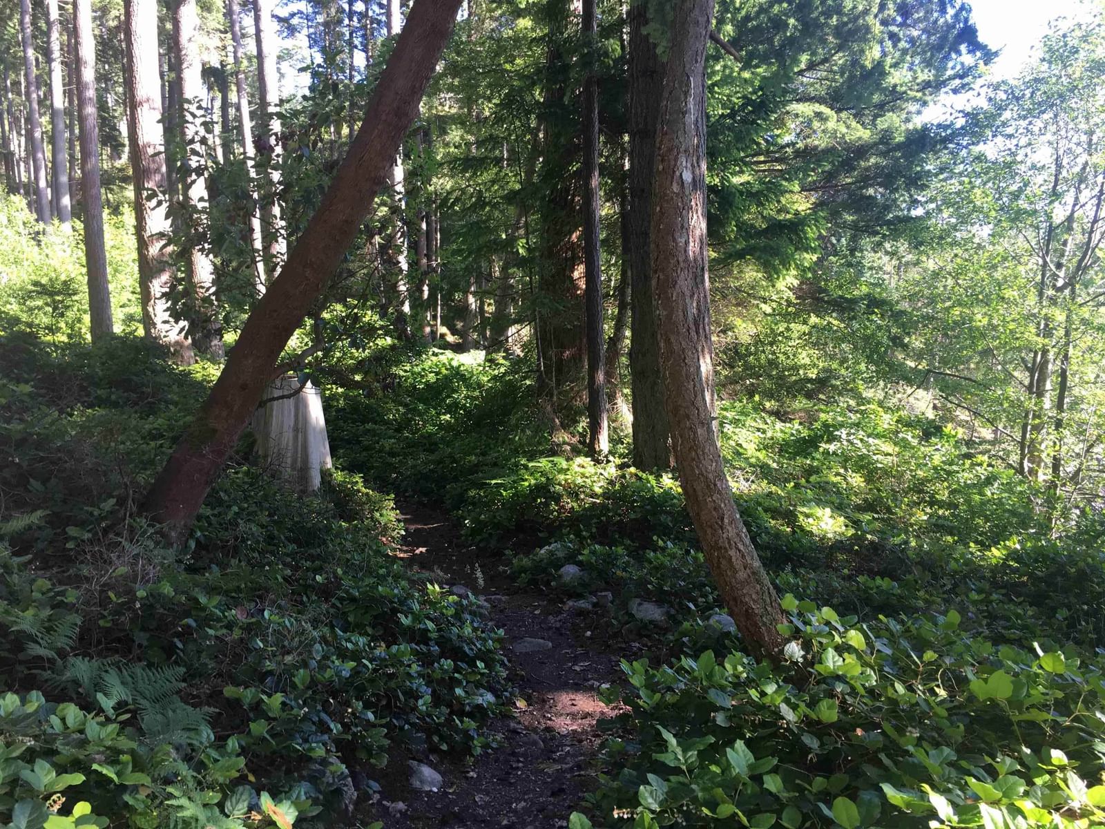 Listing Image 8